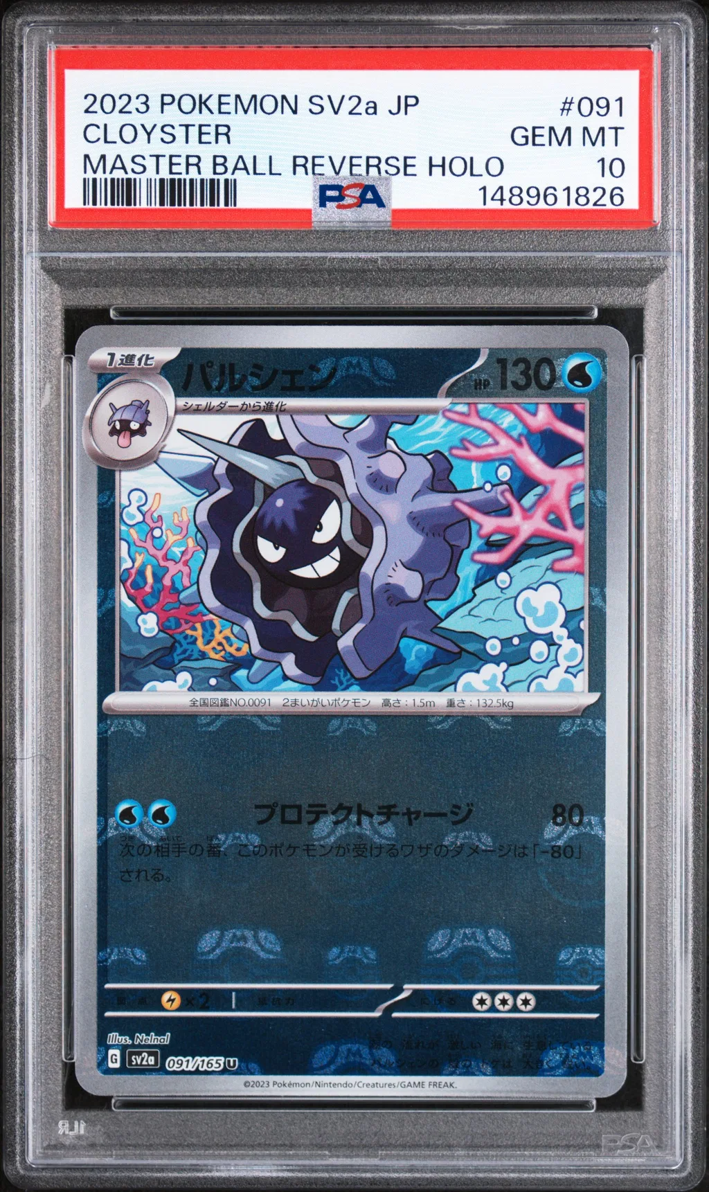 Cloyster card artwork