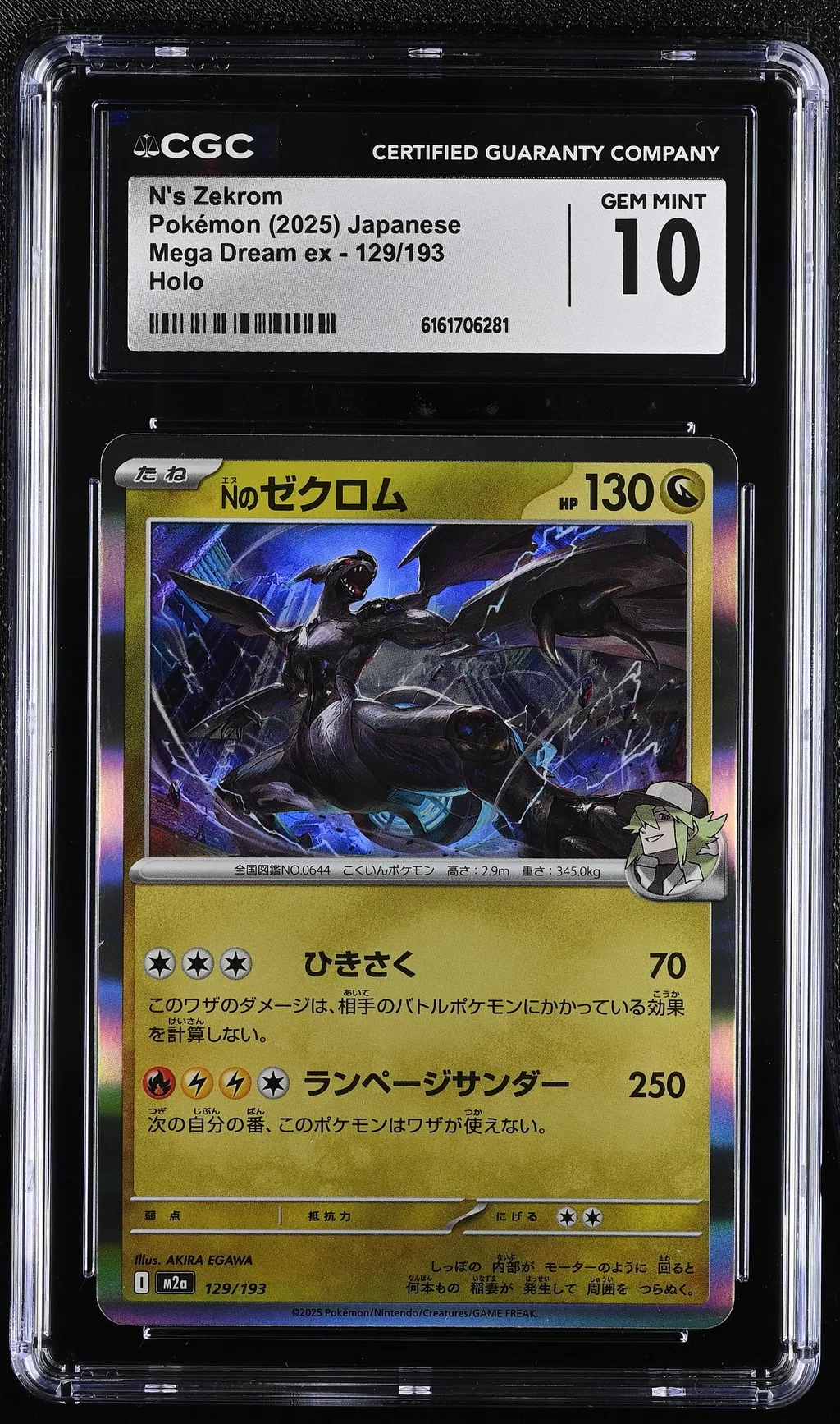 N's Zekrom card artwork