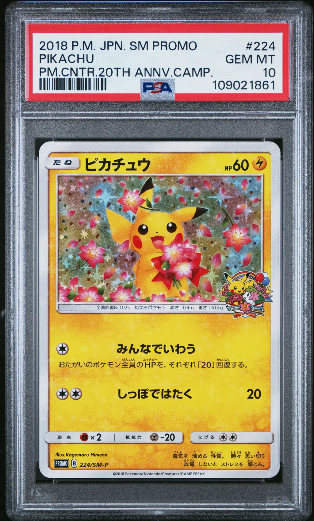 Pikachu card artwork