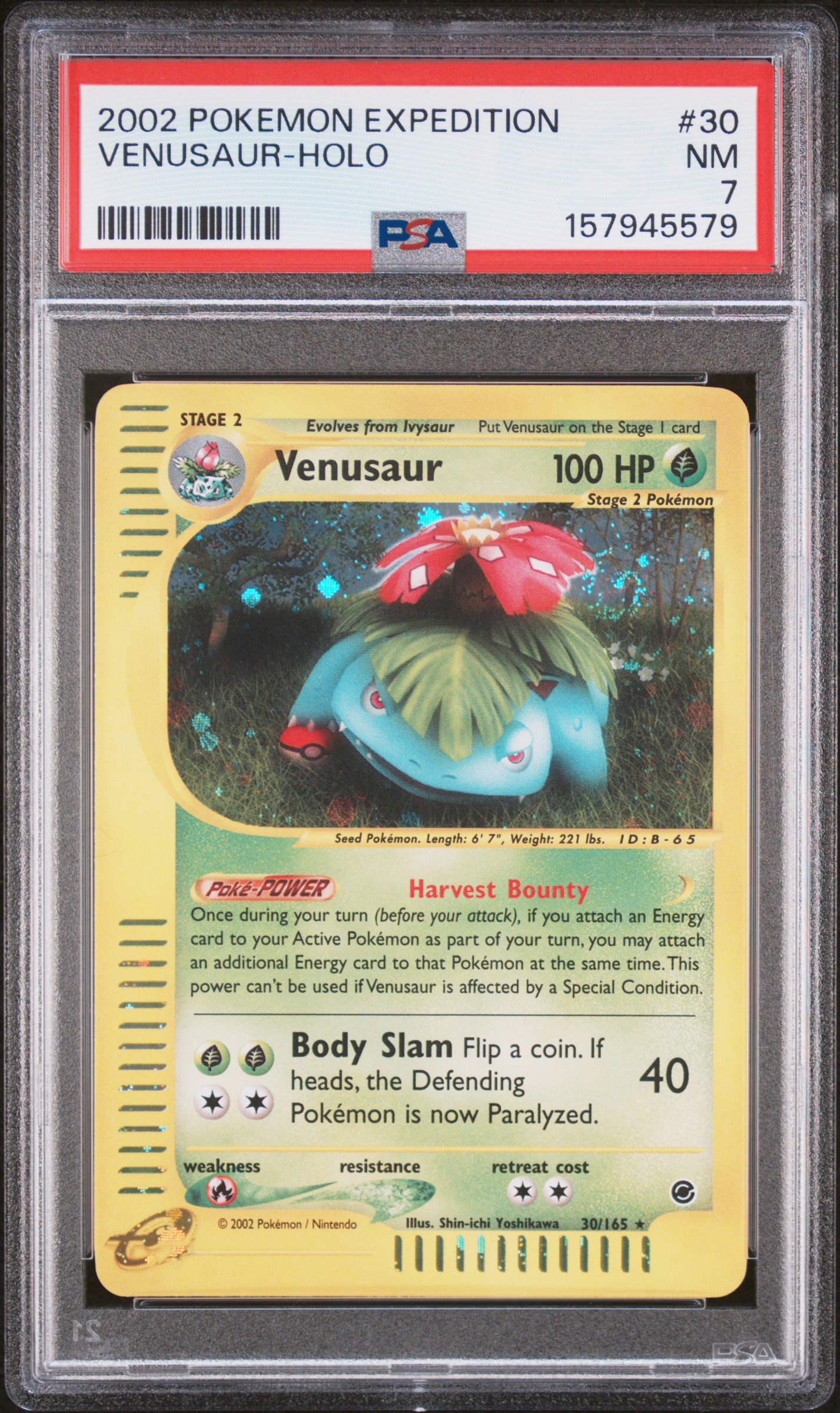 Venusaur-Holo card artwork