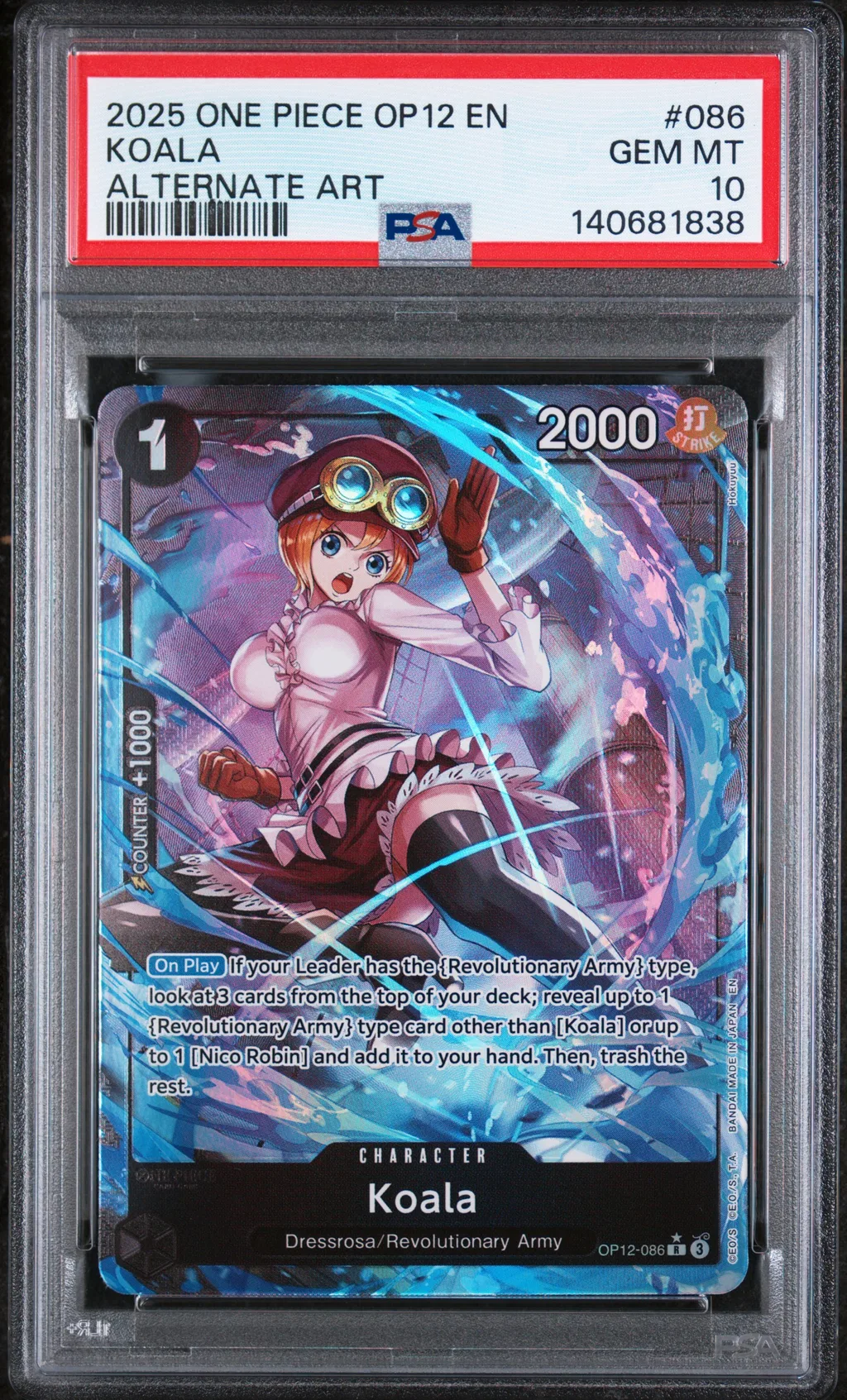 Koala card artwork