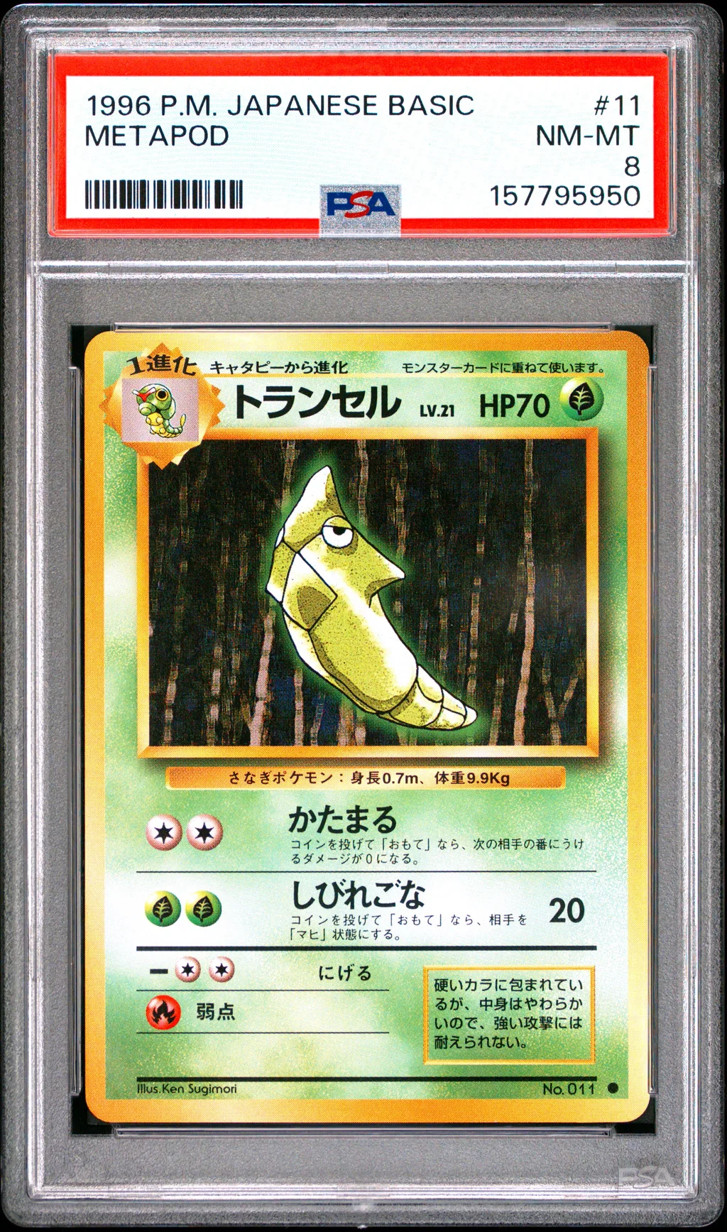 Metapod card artwork
