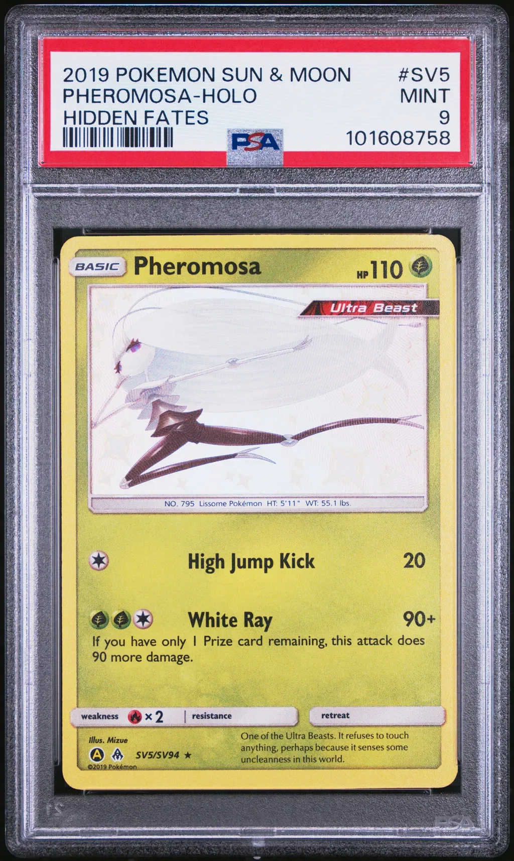 Pheromosa-Holo card artwork