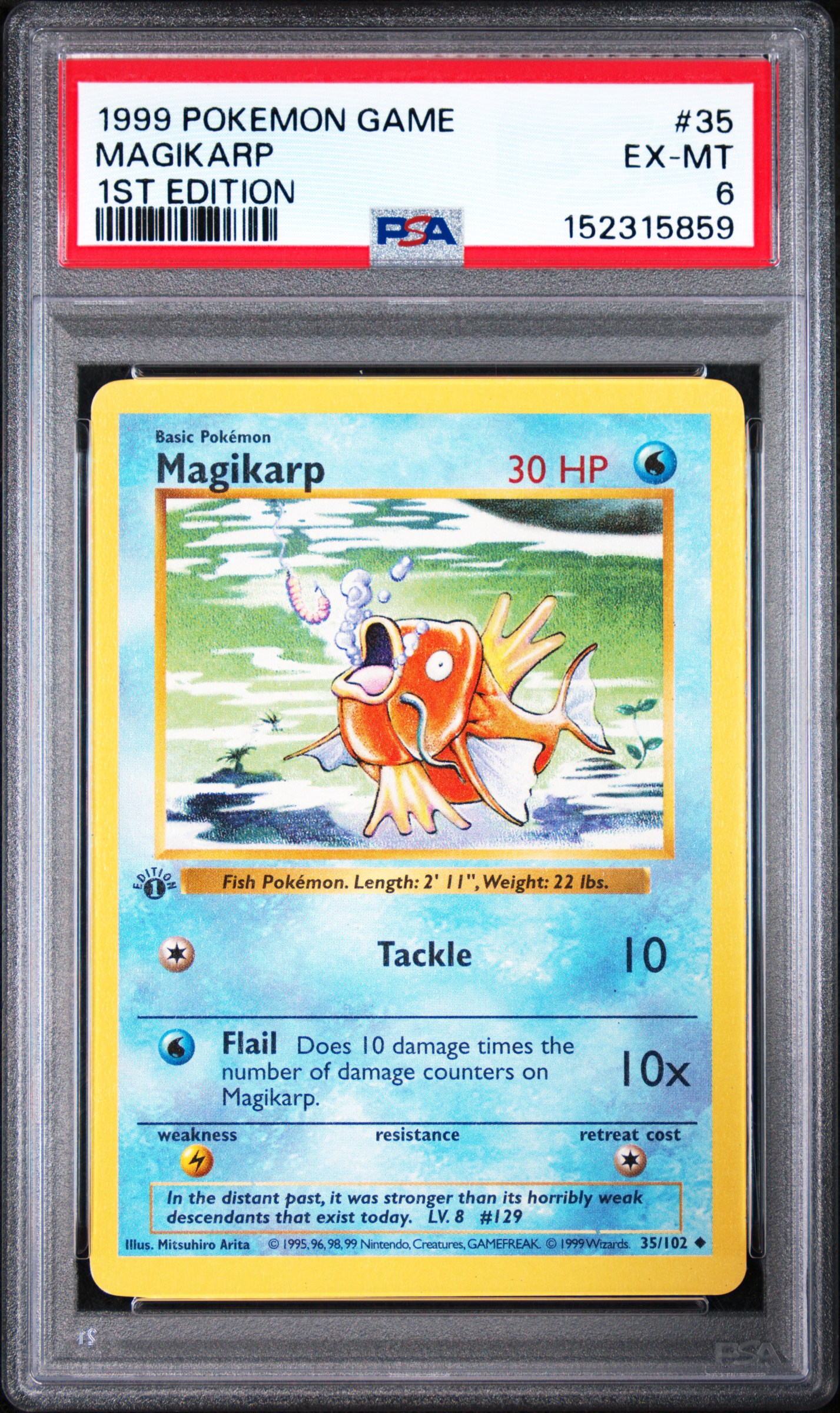Magikarp card artwork