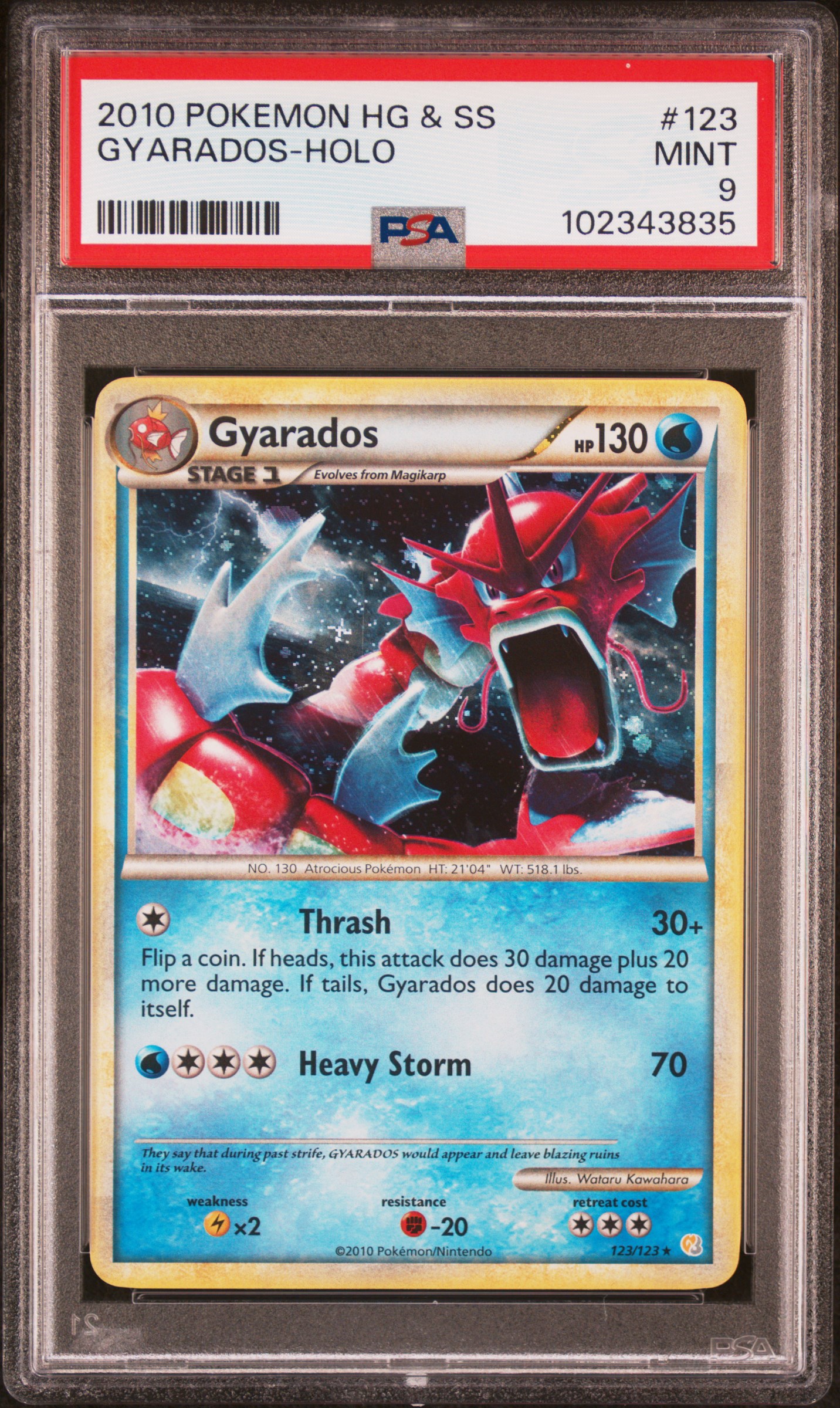 Gyarados-Holo card artwork