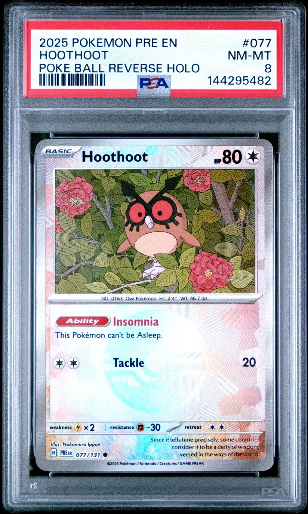 HOOTHOOT card artwork