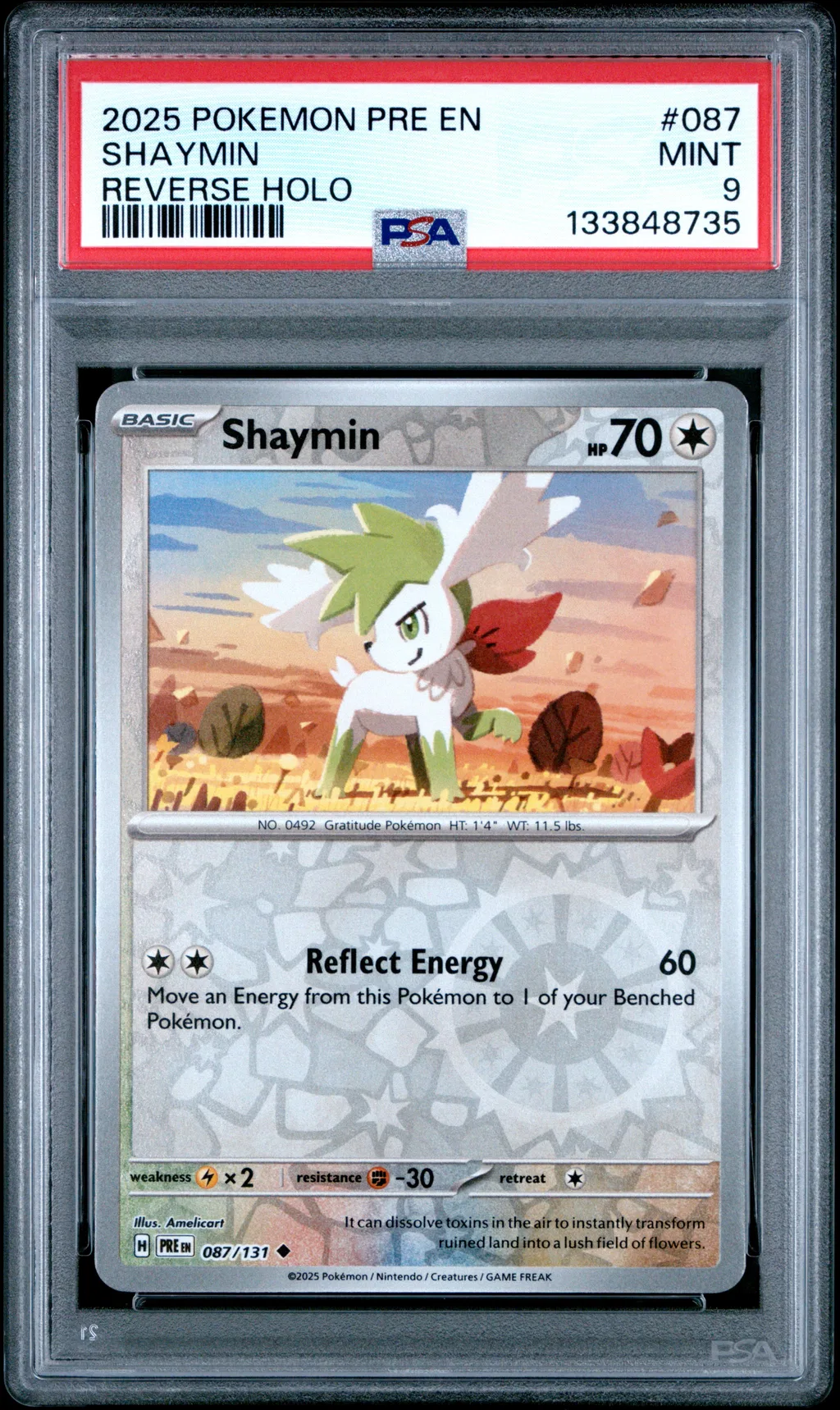 Shaymin card artwork