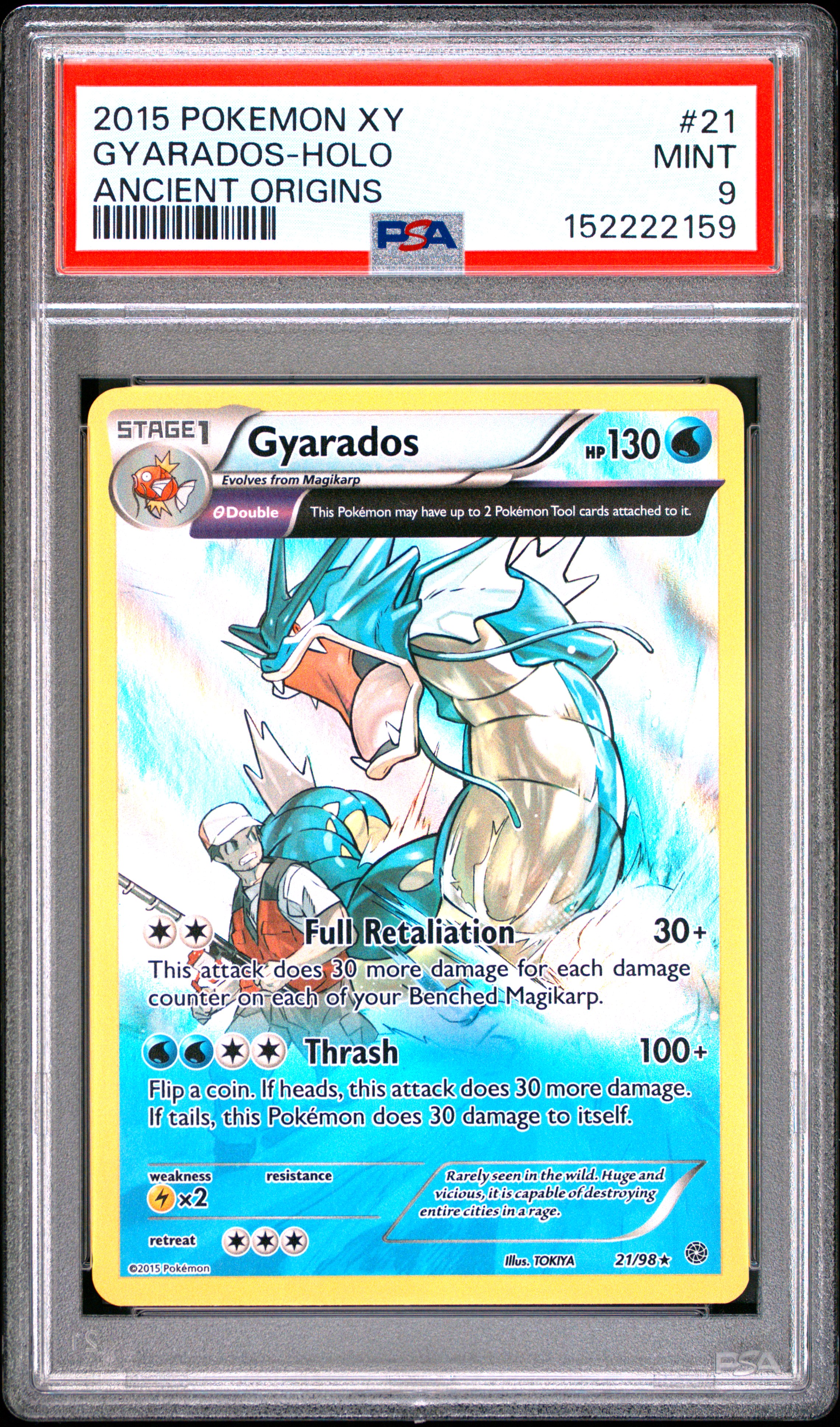 Gyarados-Holo card artwork
