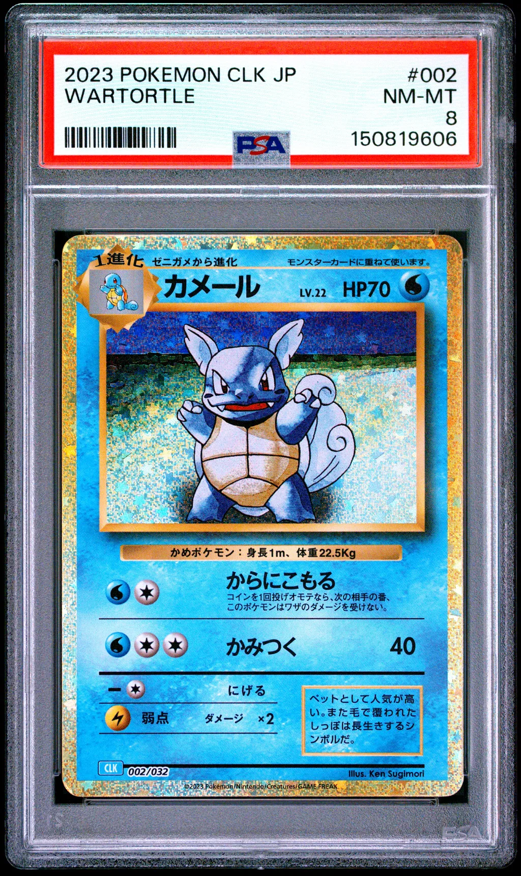 Wartortle card artwork