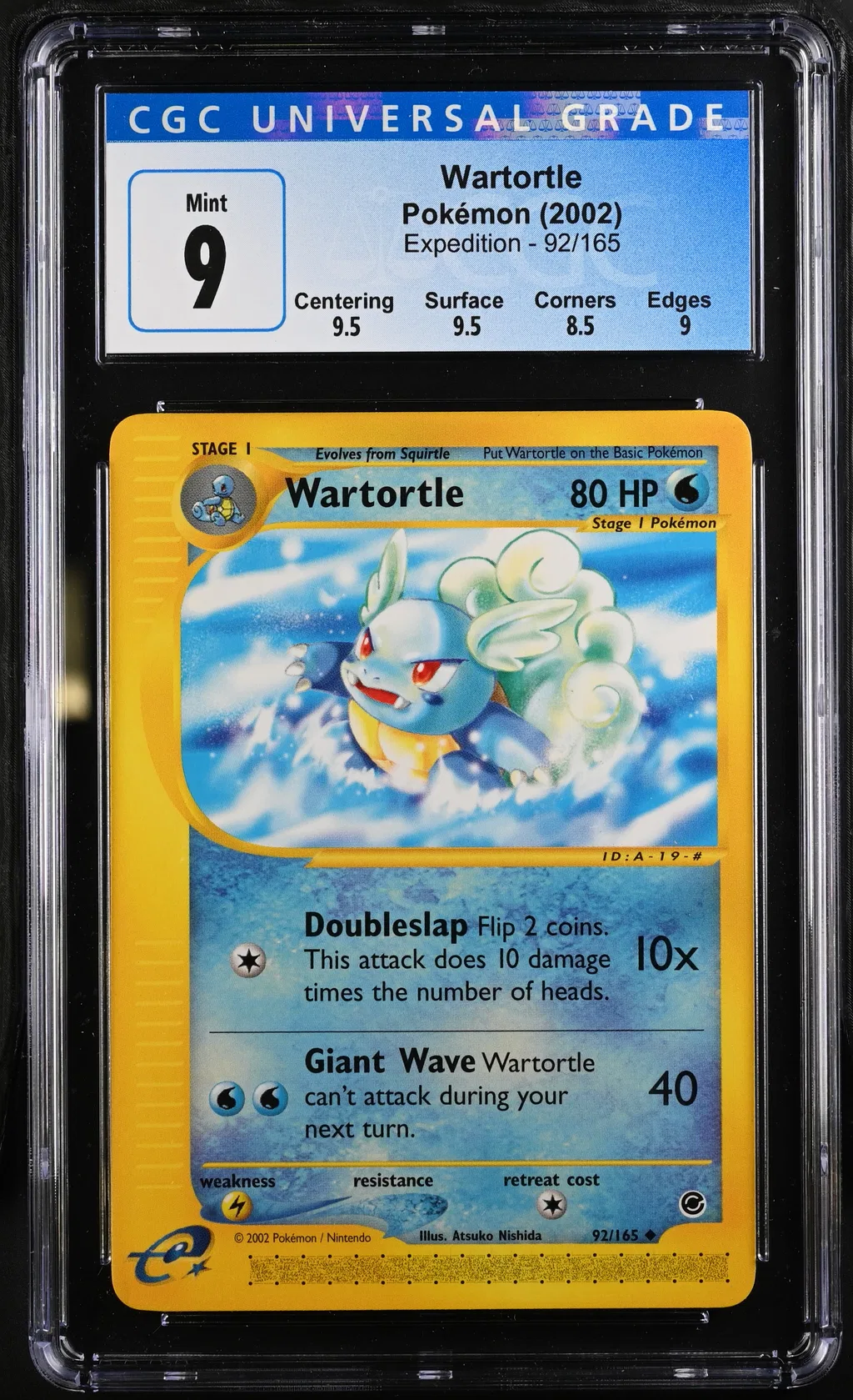 Wartortle card artwork