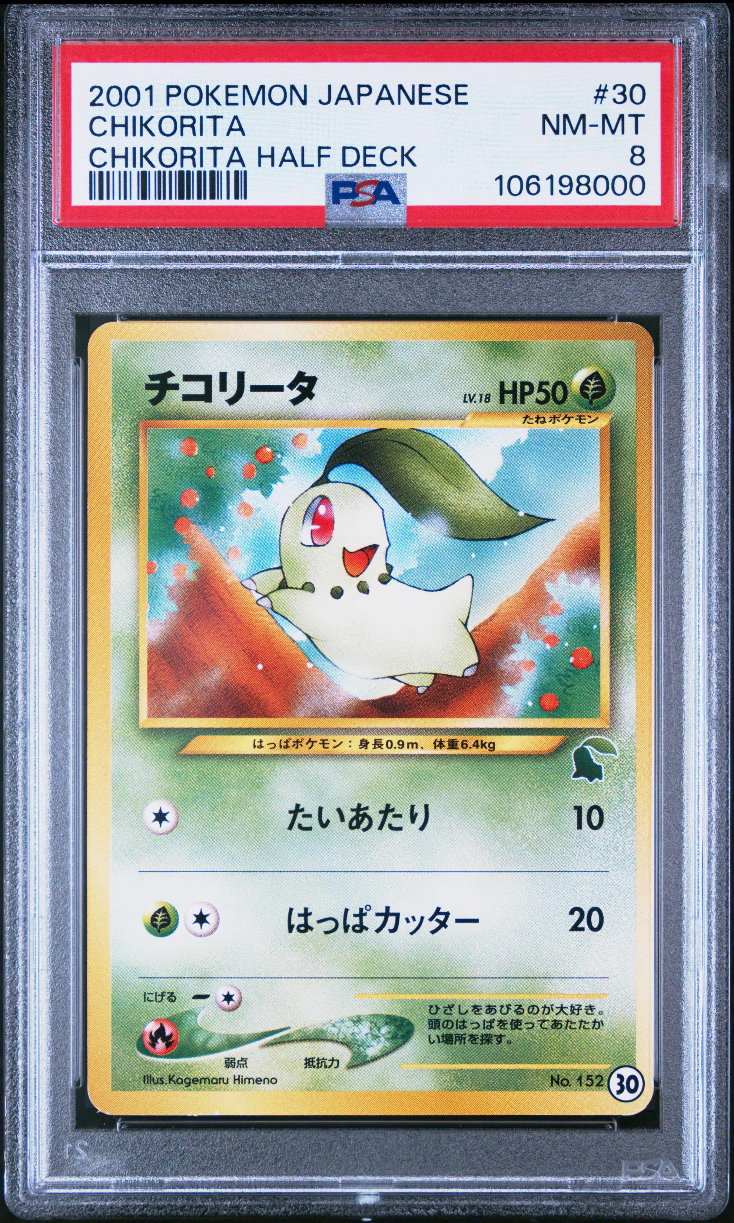 Chikorita card artwork