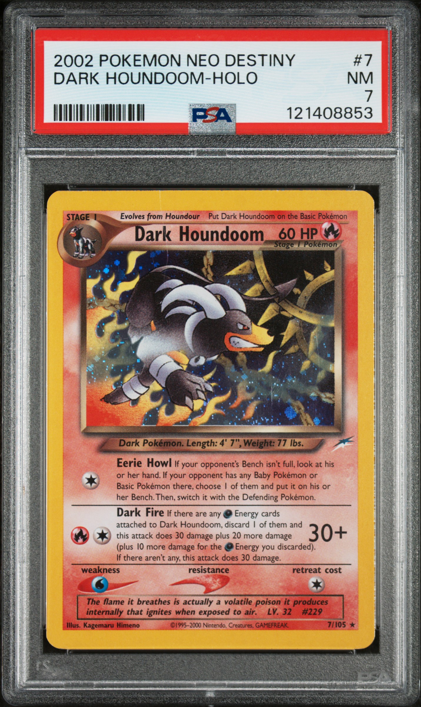 Dark Houndoom-Holo card artwork