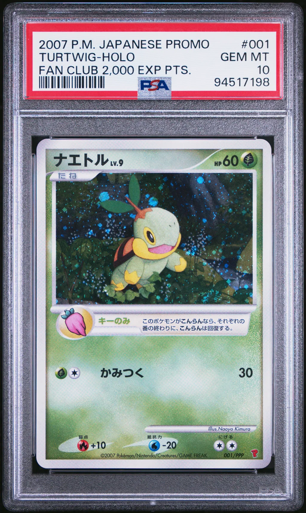 Turtwig-Holo card artwork