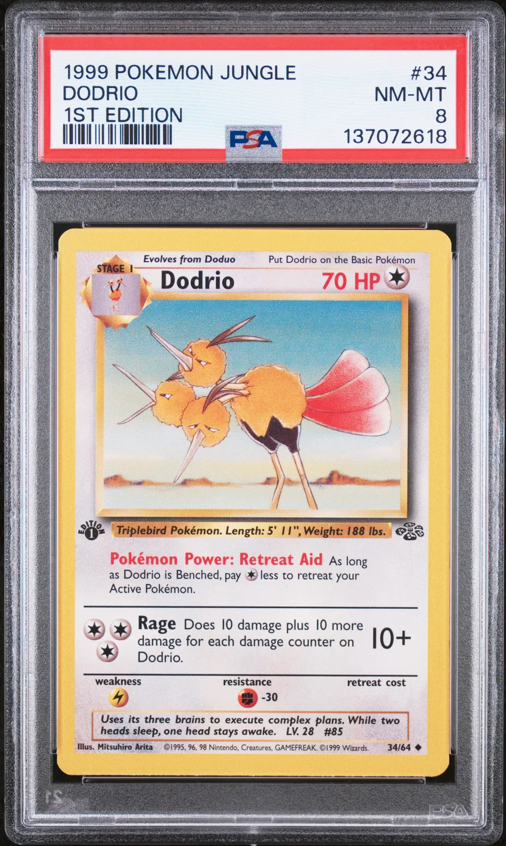 Dodrio card artwork