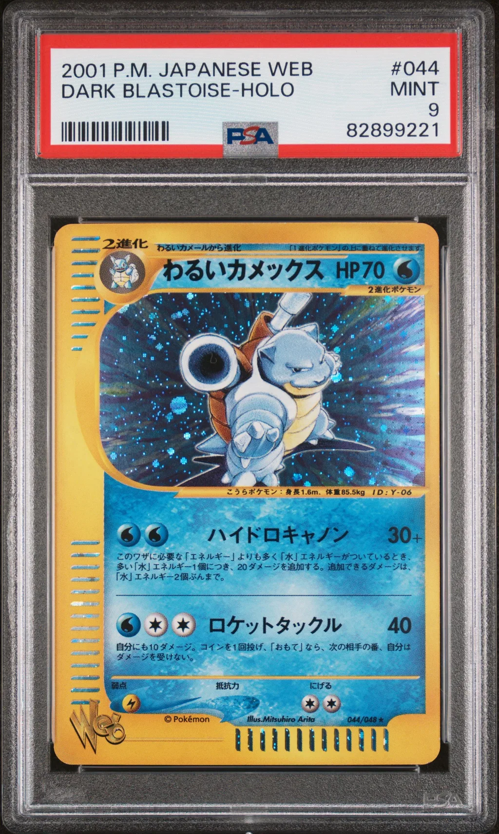 Dark Blastoise-Holo card artwork