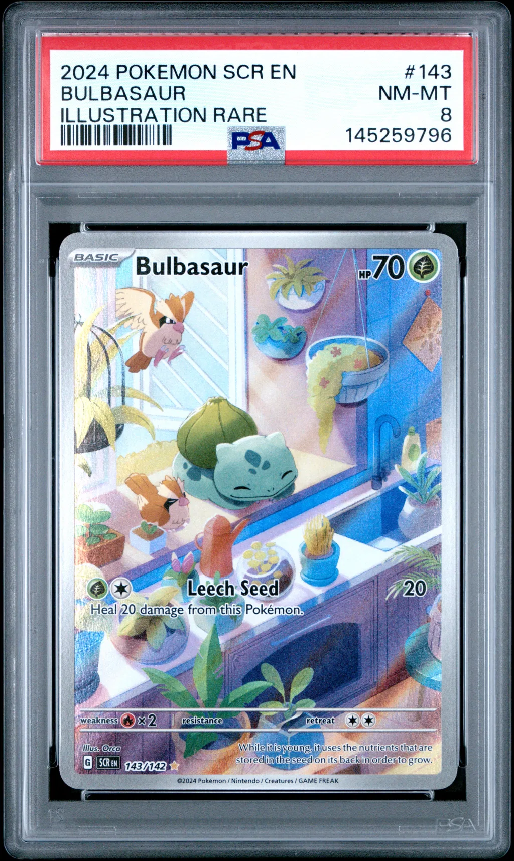 Bulbasaur card artwork