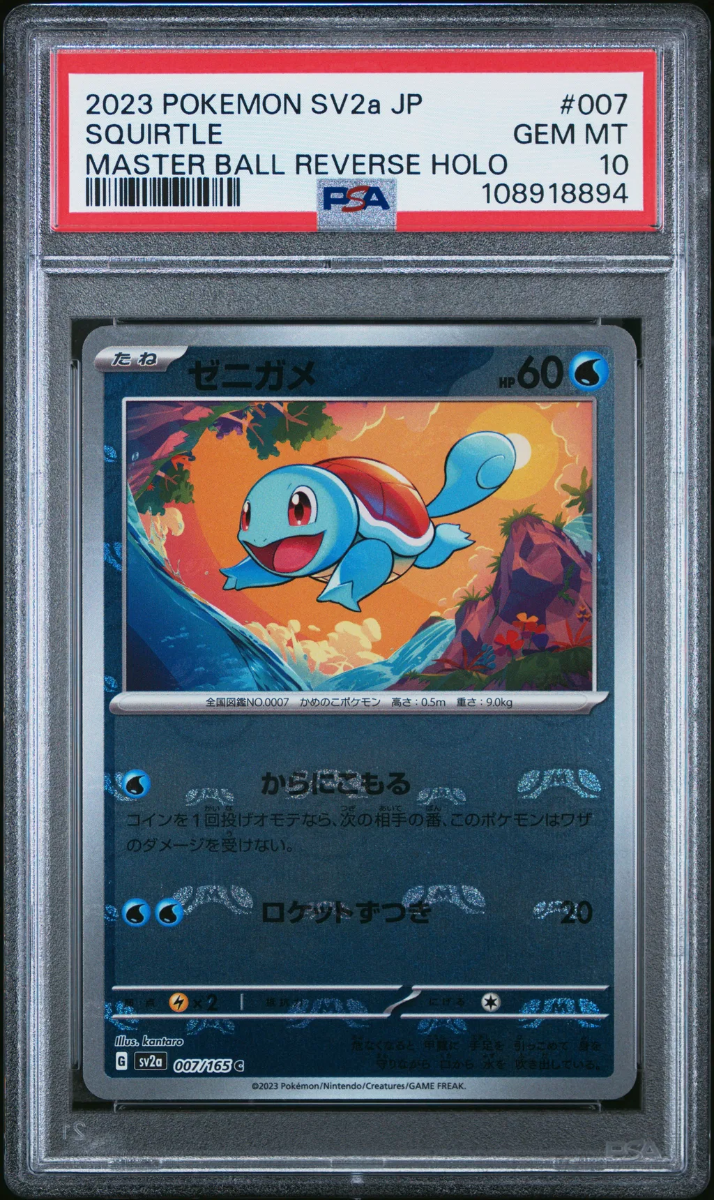 Squirtle card artwork