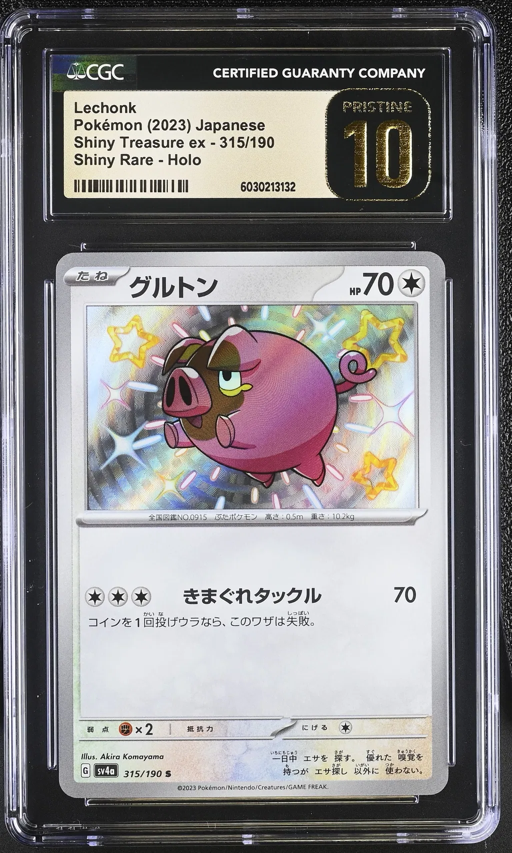 Lechonk card artwork