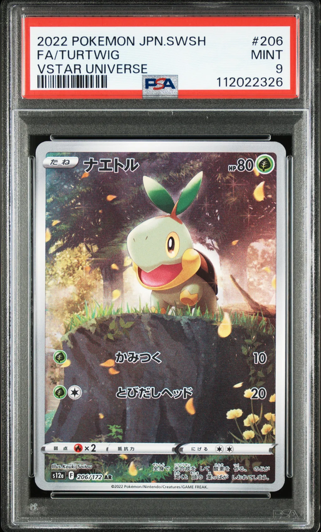 Full Art/Turtwig card artwork