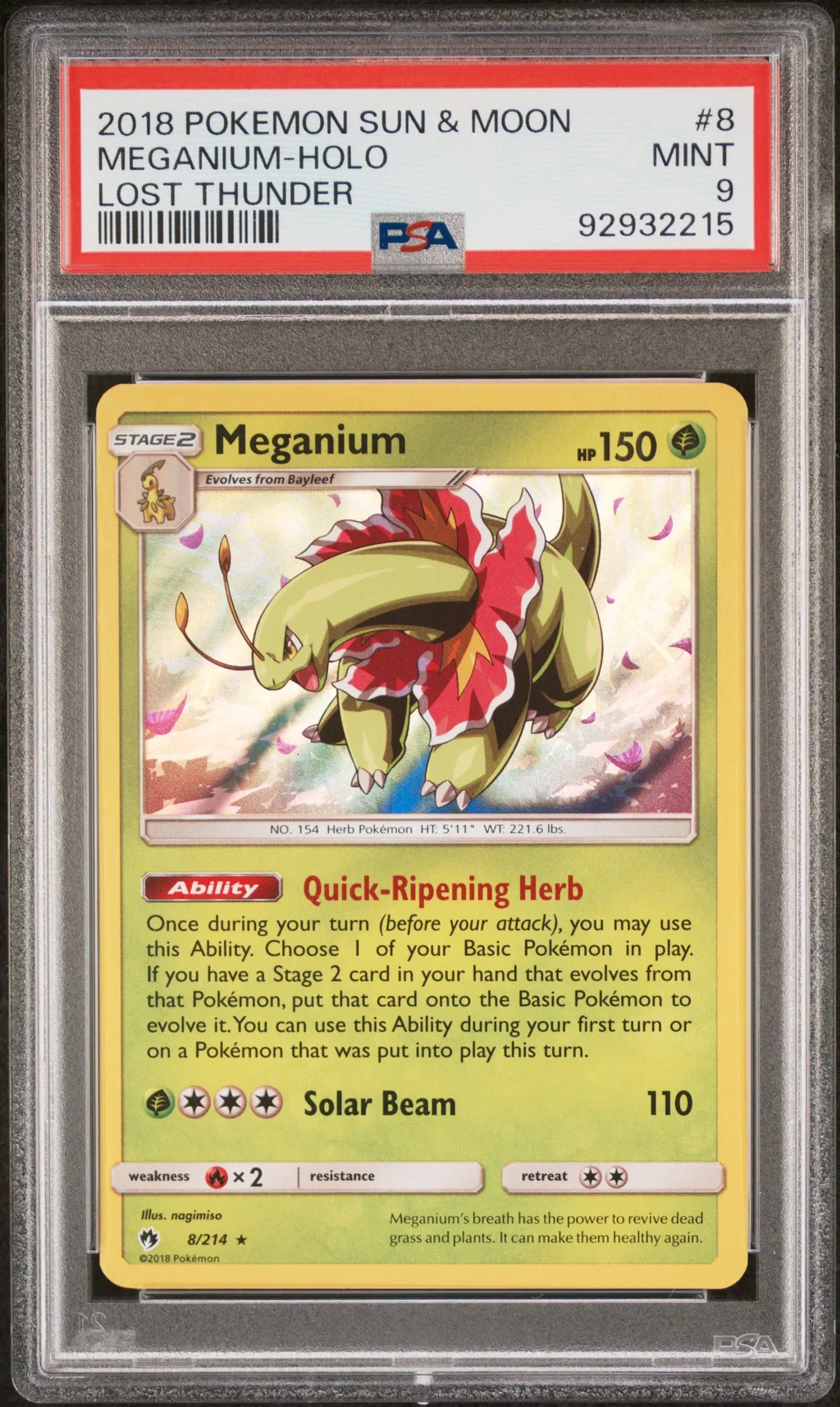 Meganium-Holo card artwork