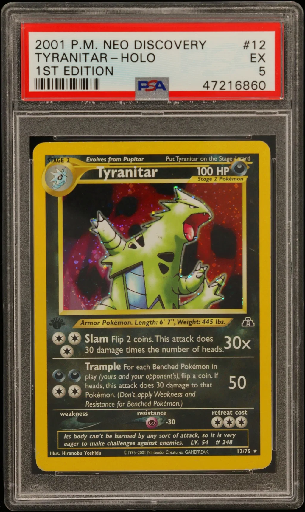 Tyranitar-Holo card artwork