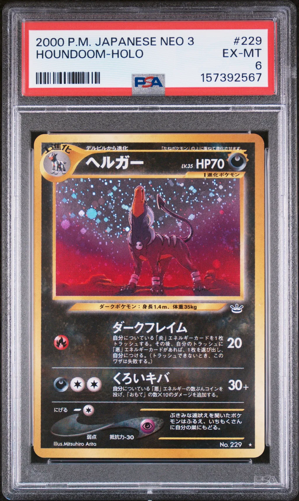 Houndoom-Holo card artwork