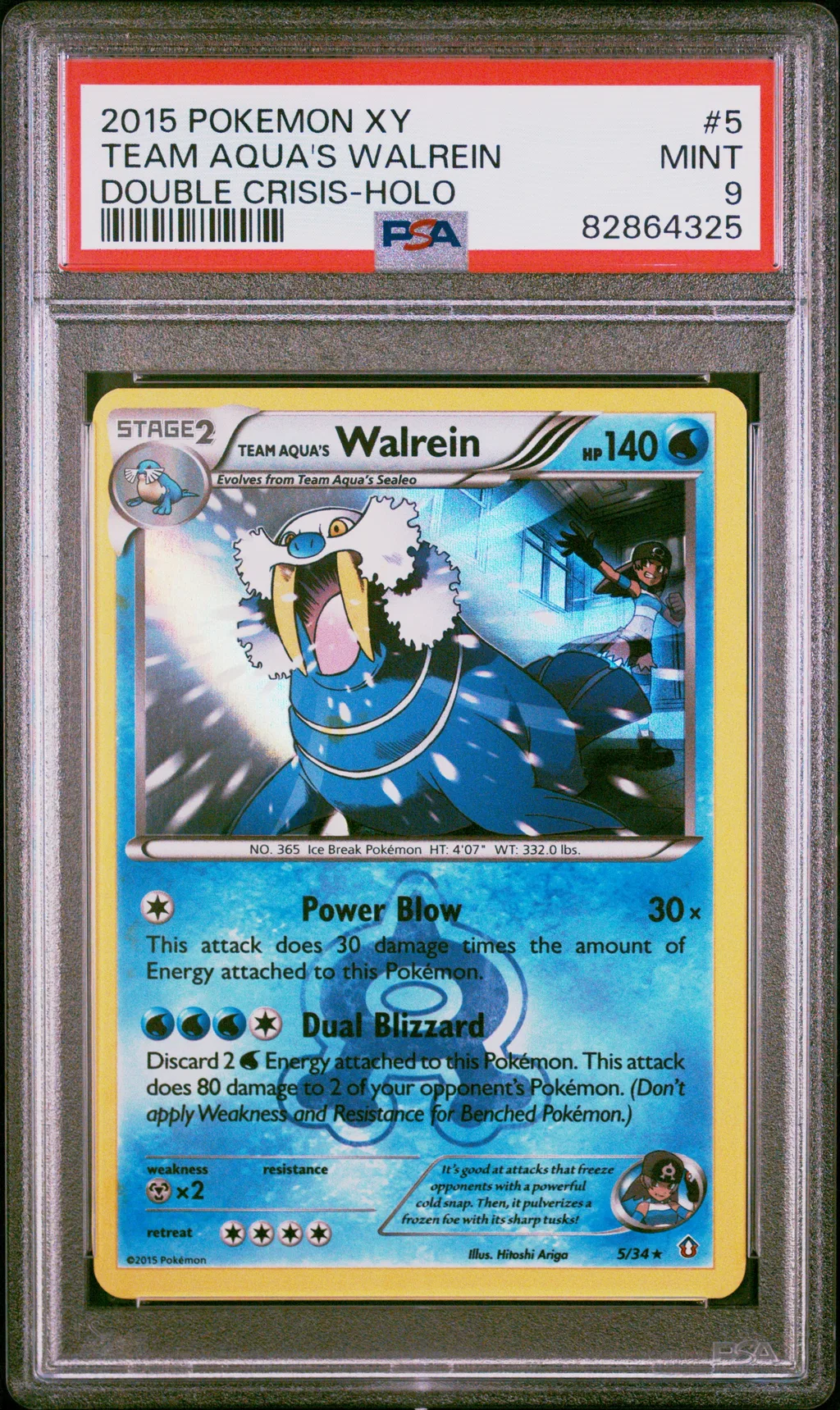 Team Aqua's Walrein-Holo card artwork