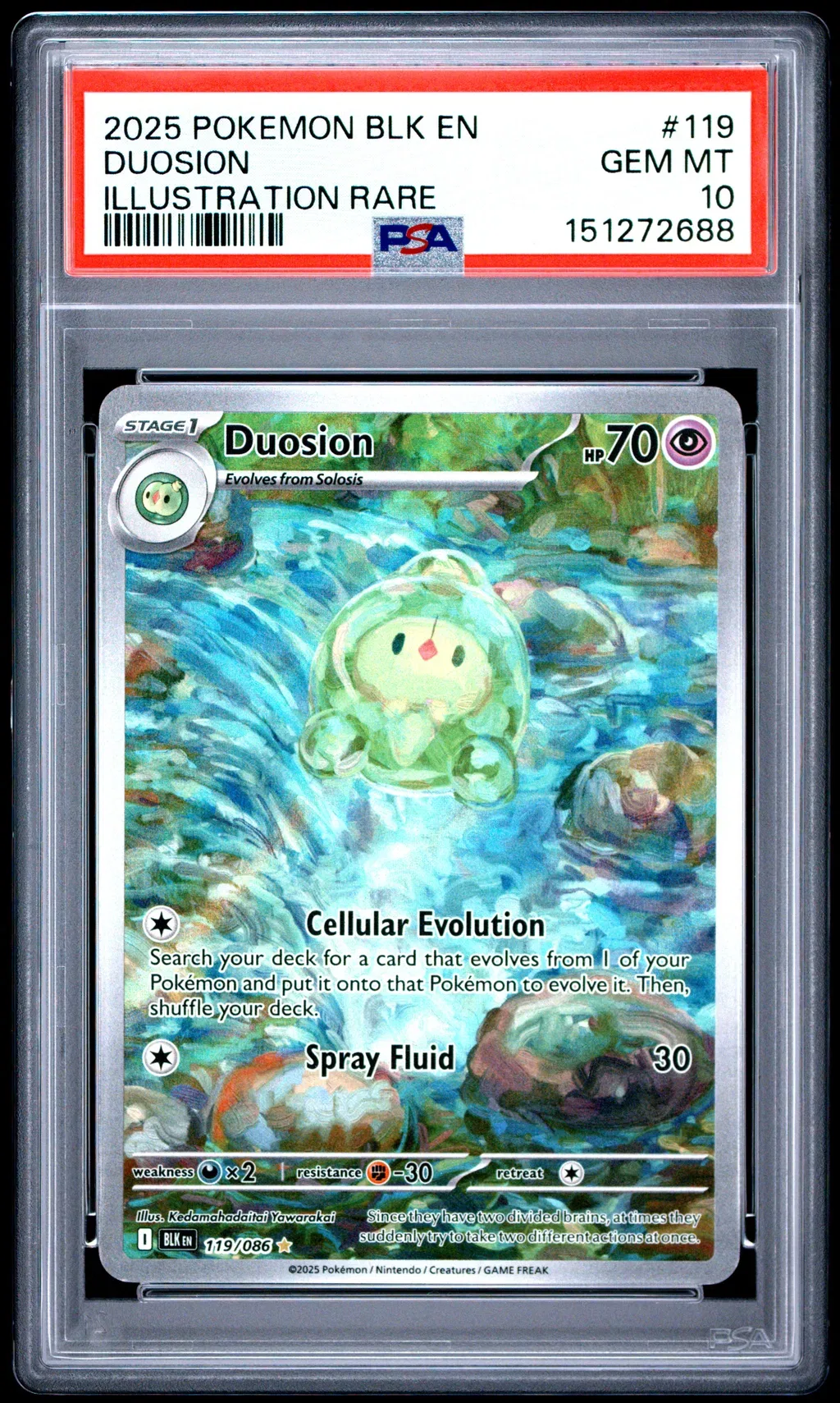 Duosion card artwork