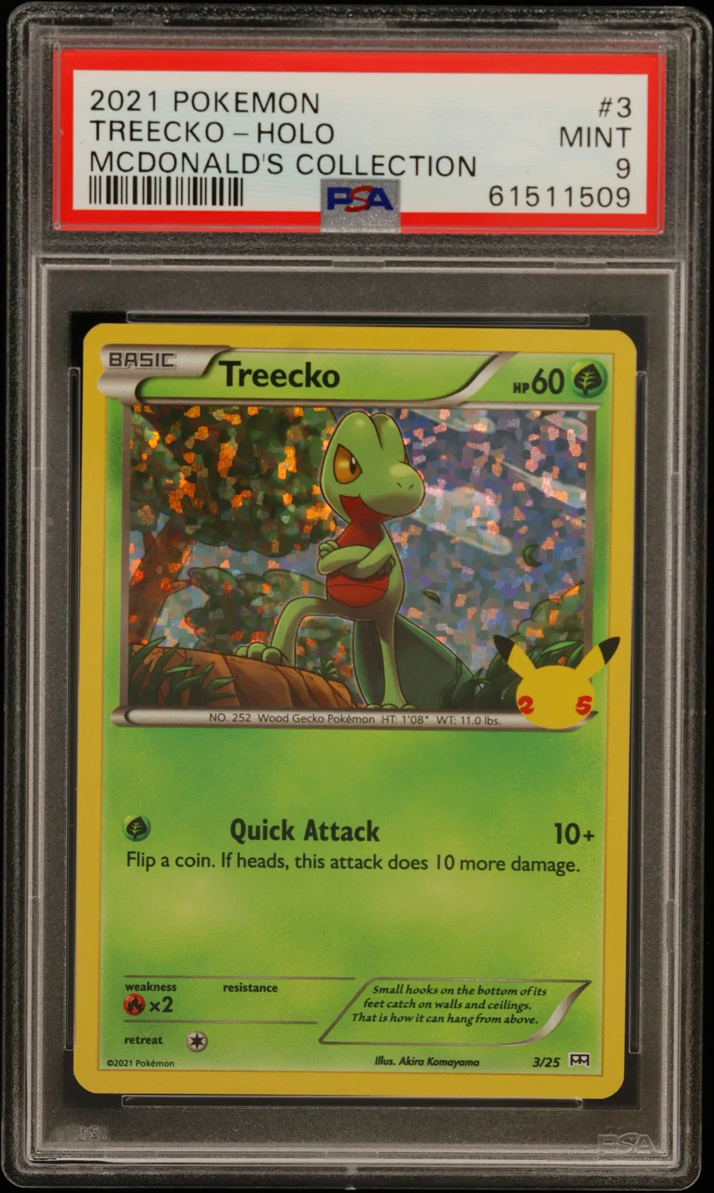 Treecko-Holo card artwork