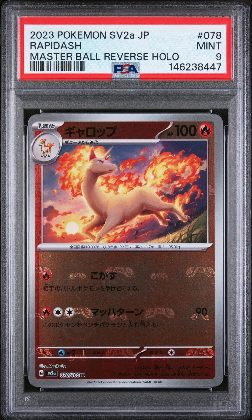RAPIDASH card artwork