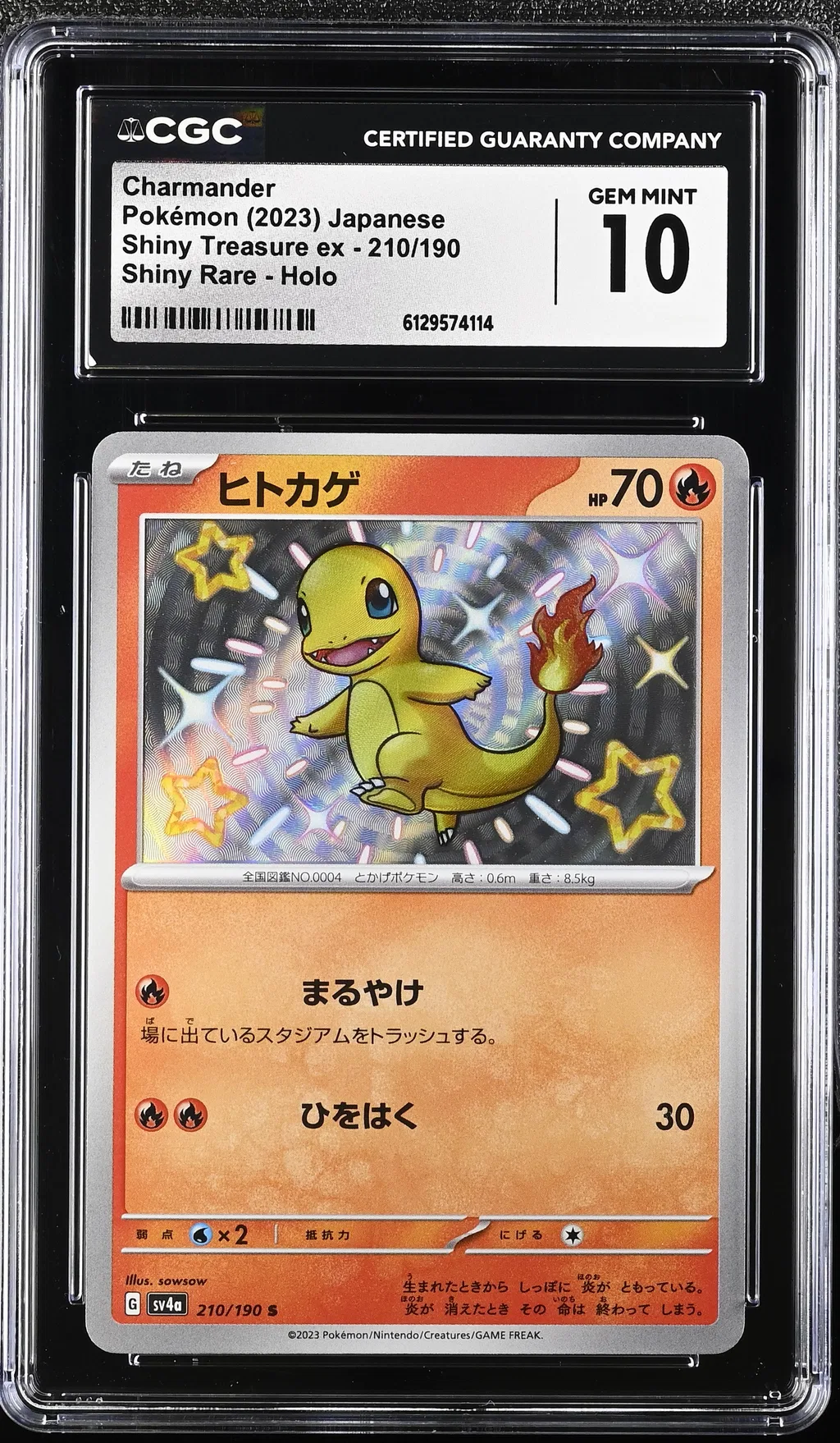 Charmander card artwork
