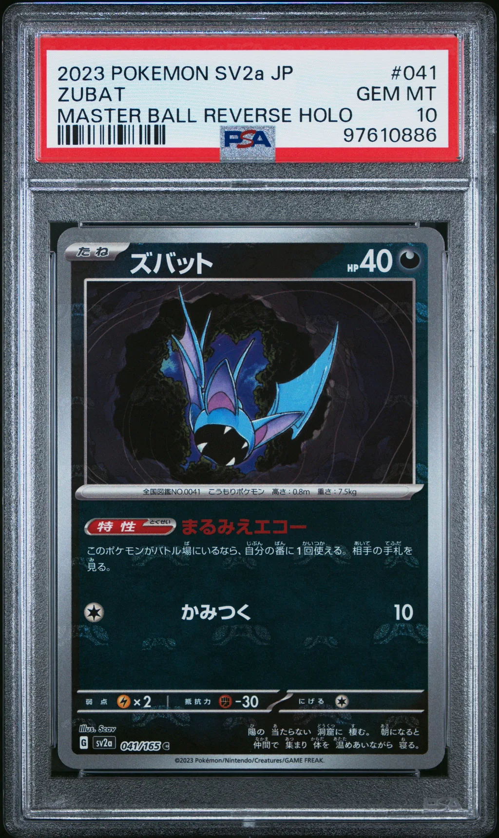 Zubat card artwork