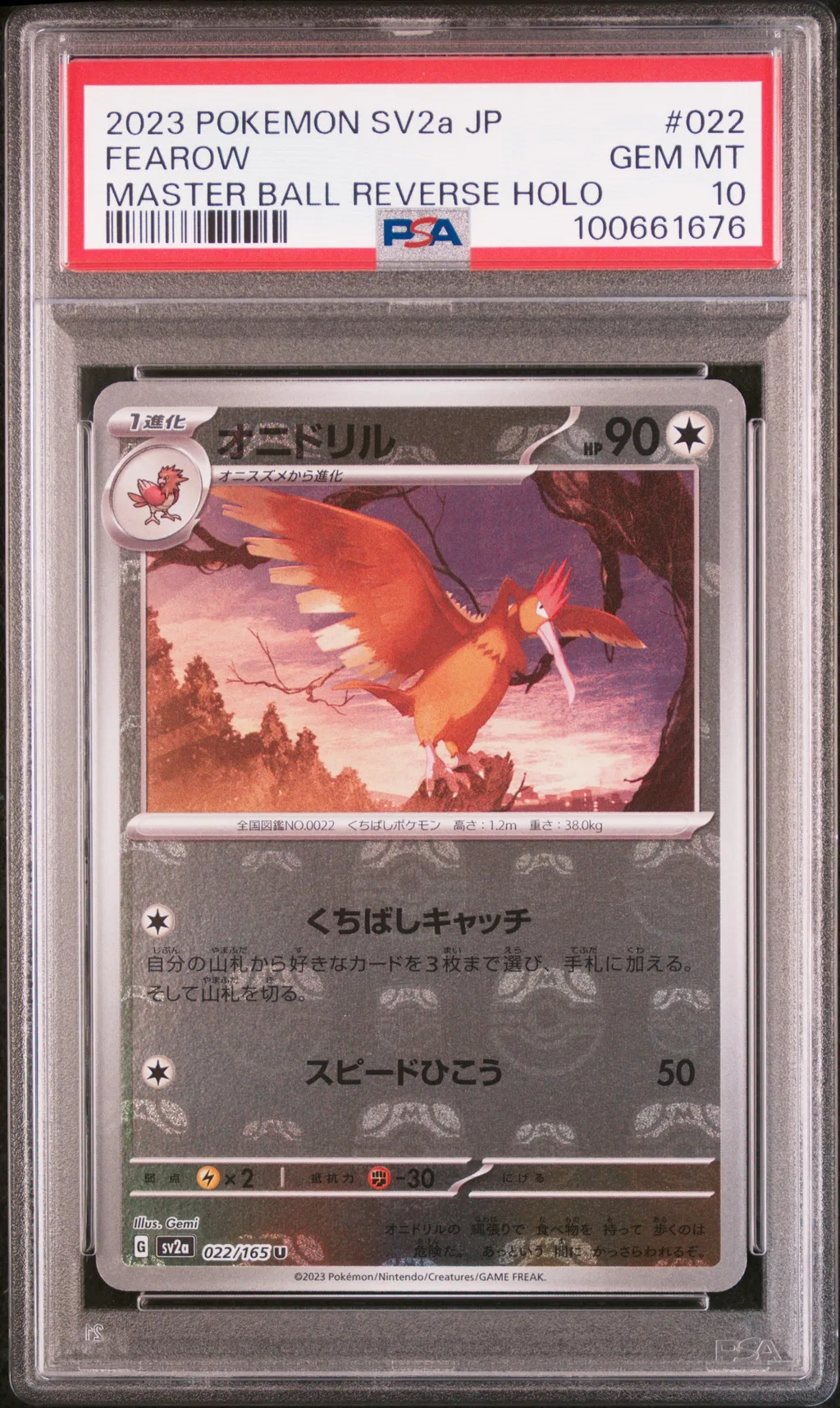 Fearow card artwork