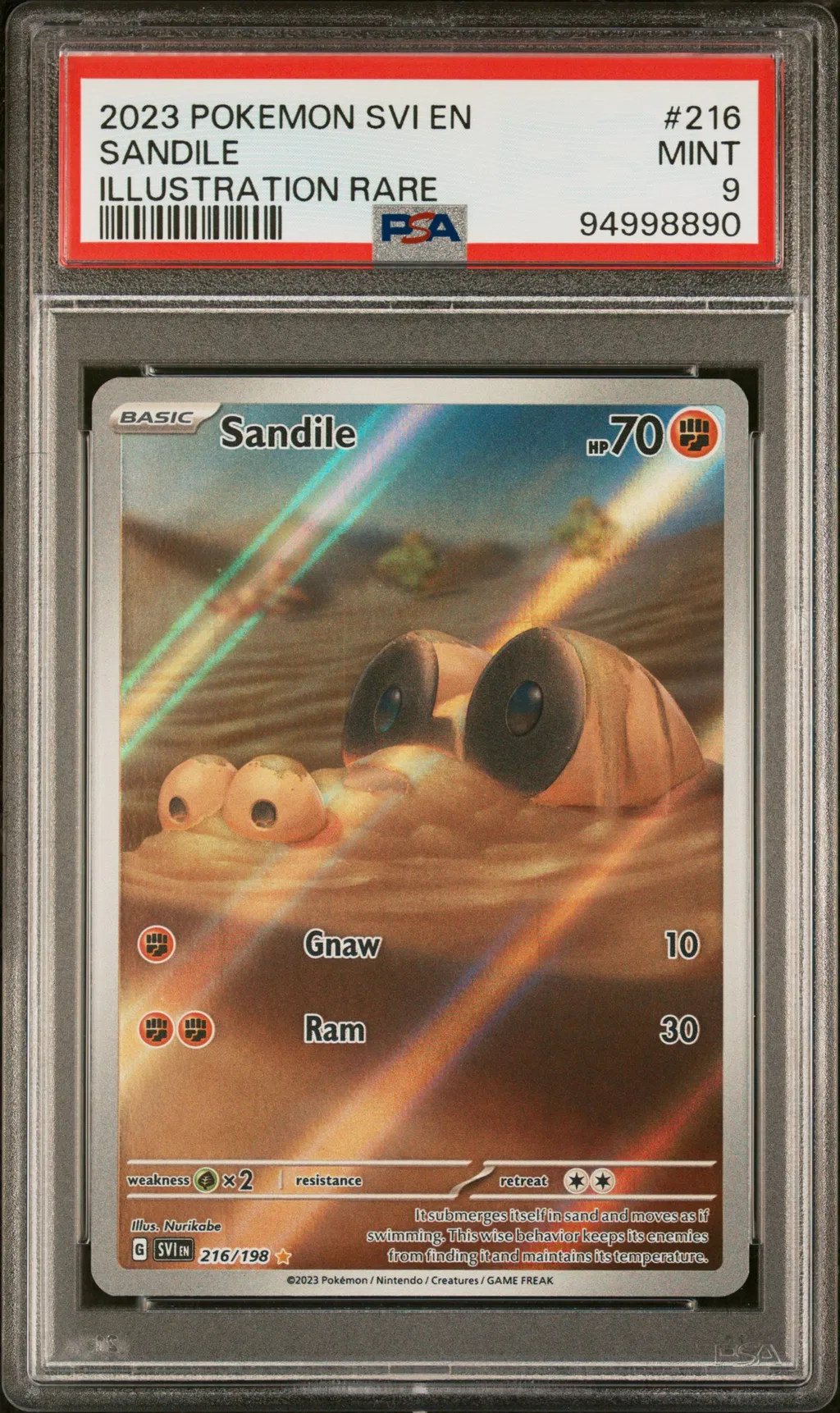 Sandile card artwork