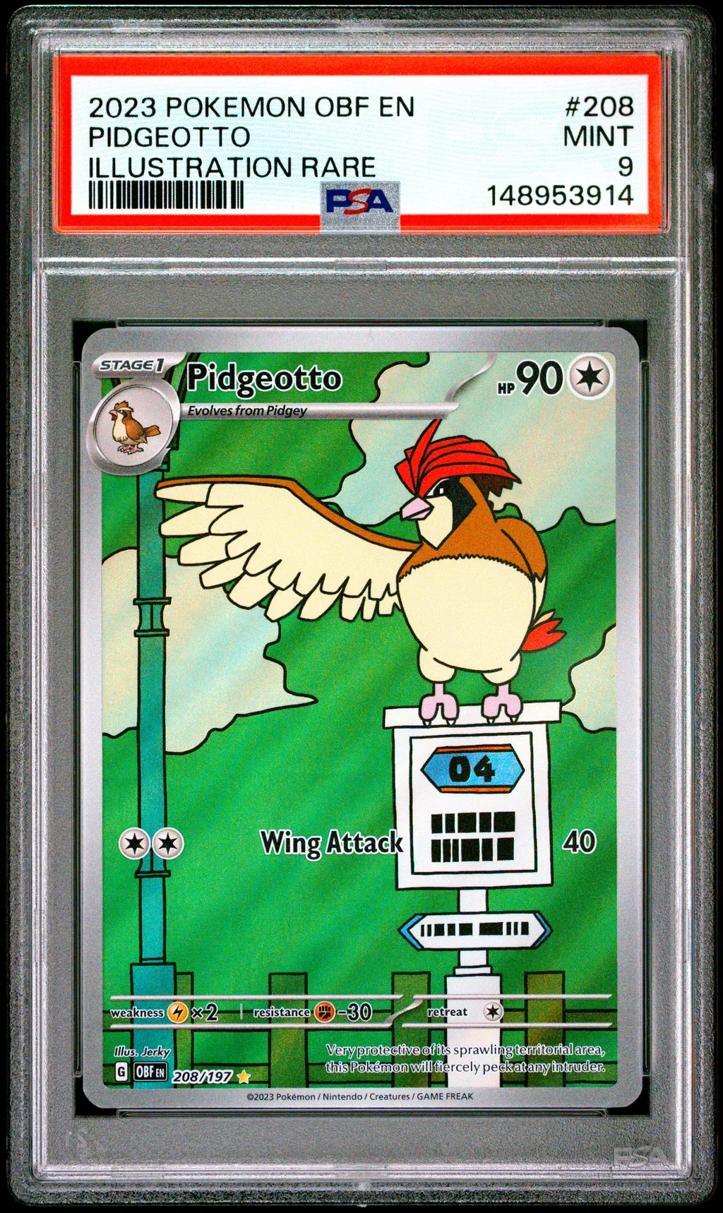 Pidgeotto card artwork