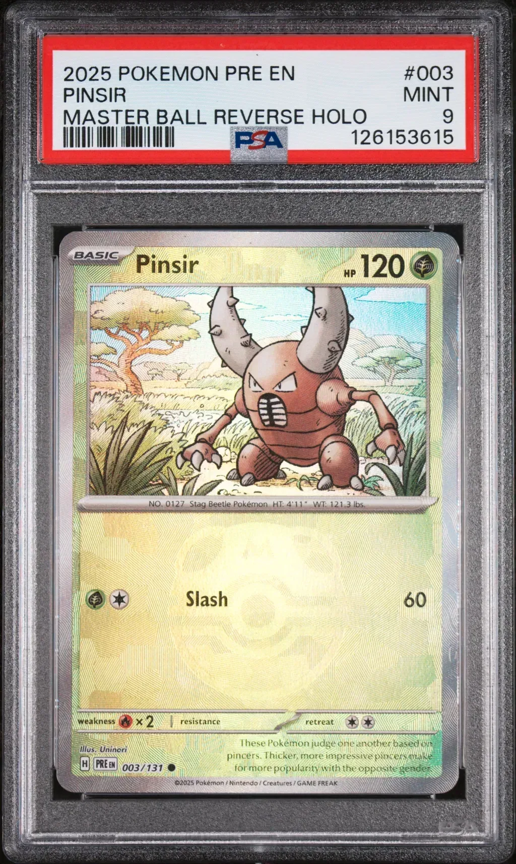 Pinsir card artwork