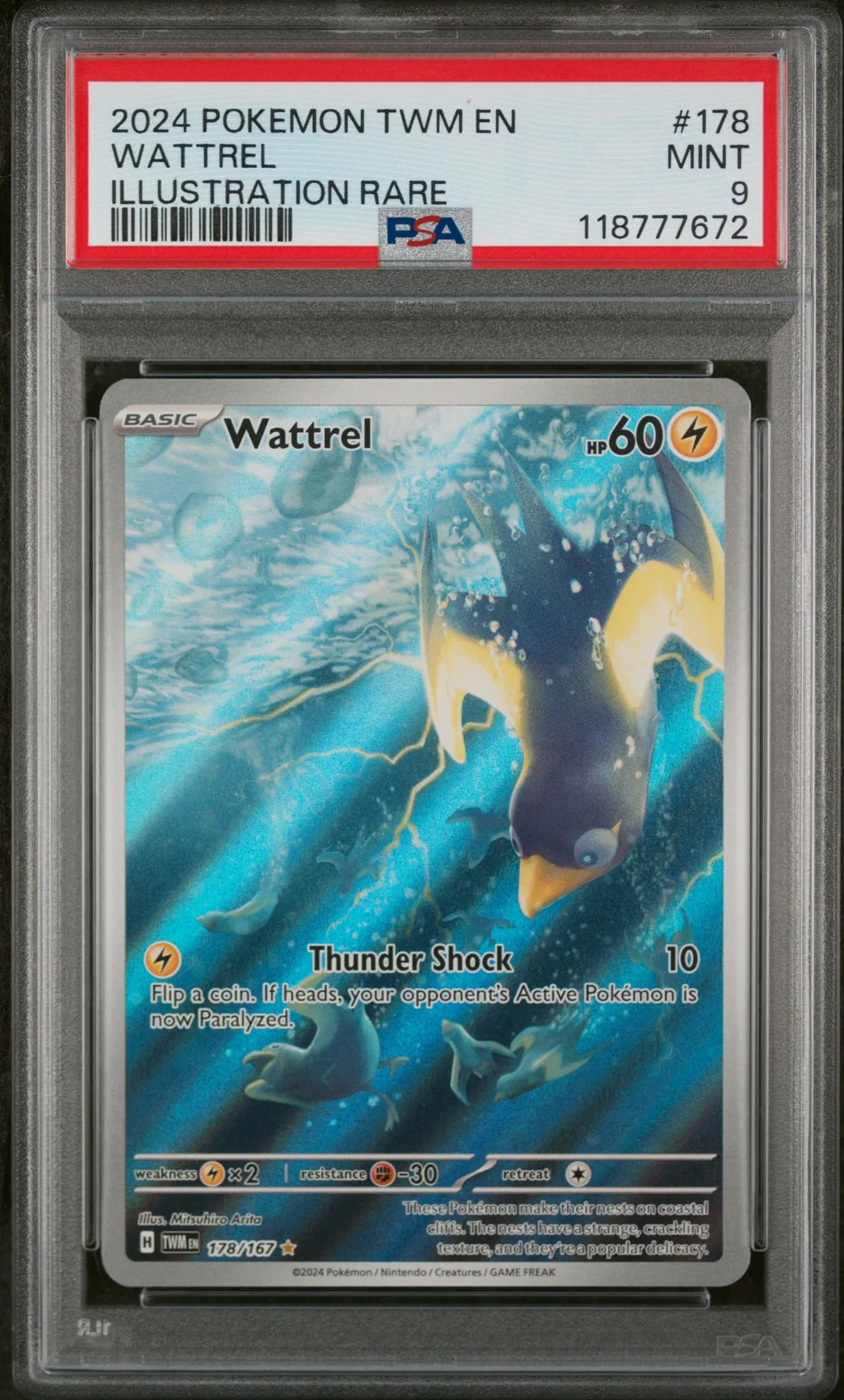 Wattrel card artwork