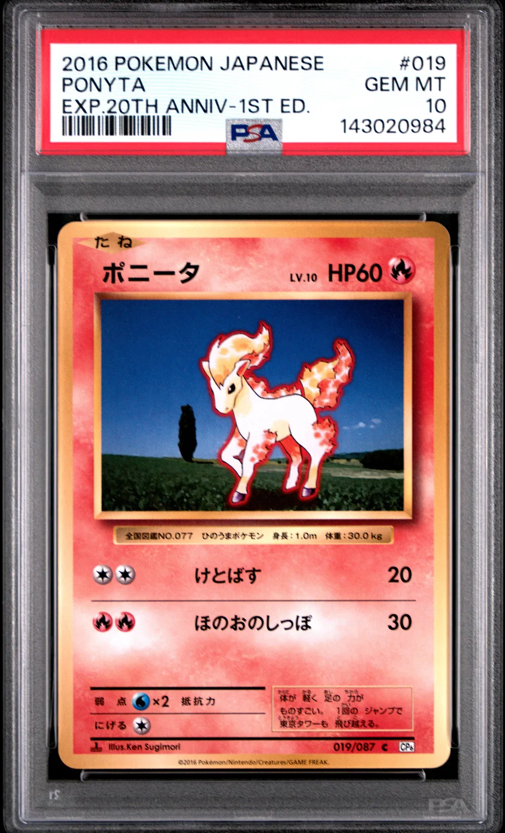 Ponyta card artwork