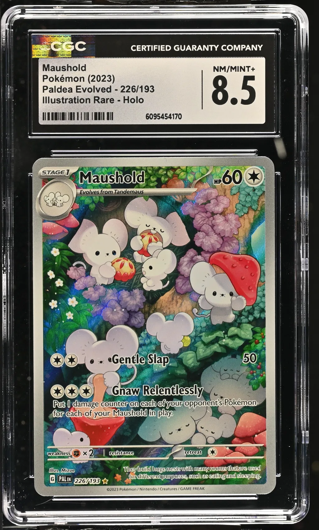 Maushold card artwork