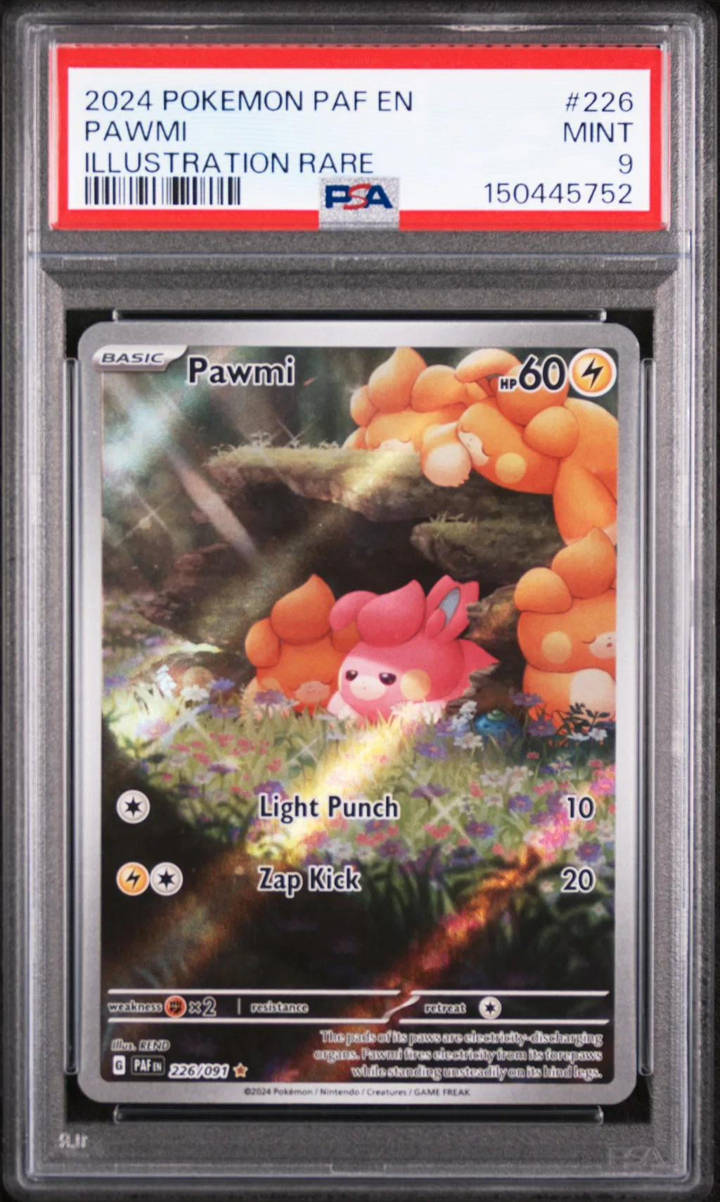 Pawmi card artwork