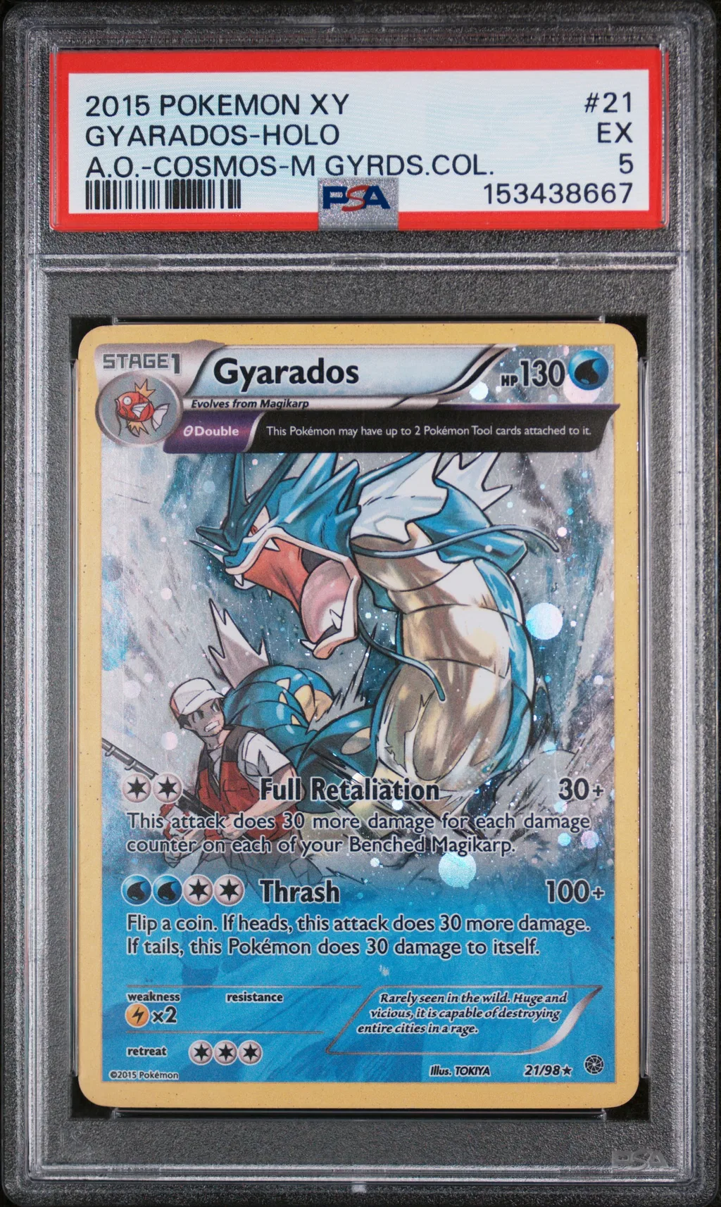 Gyarados-Holo card artwork