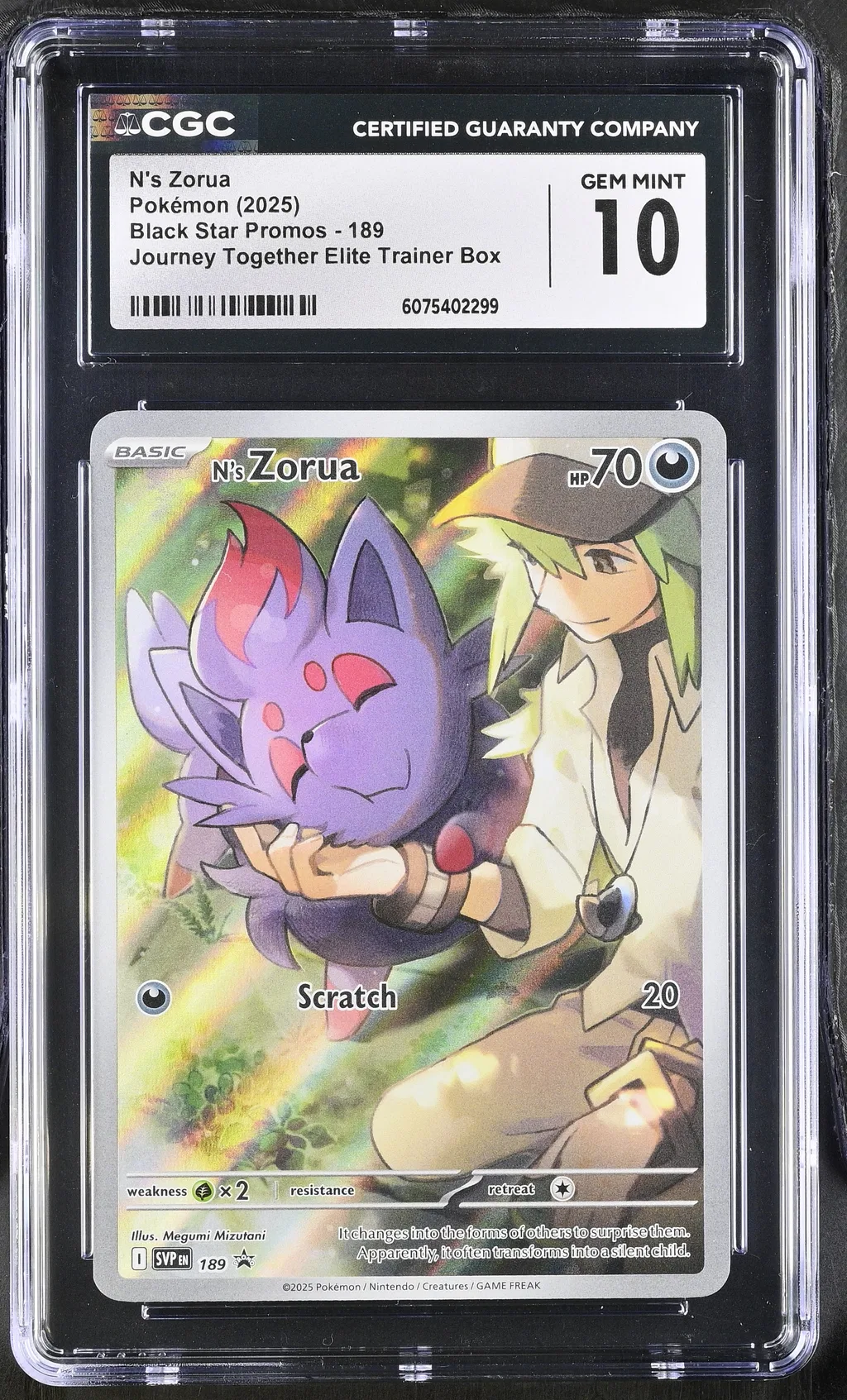 N's Zorua card artwork