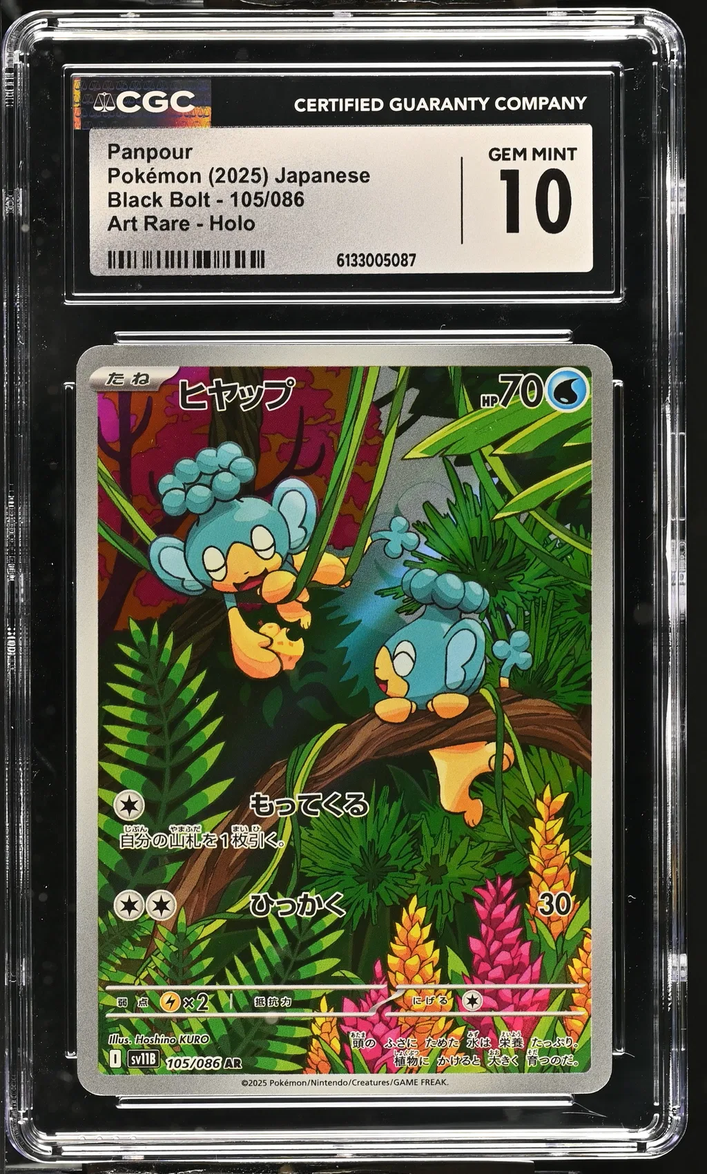 Panpour card artwork