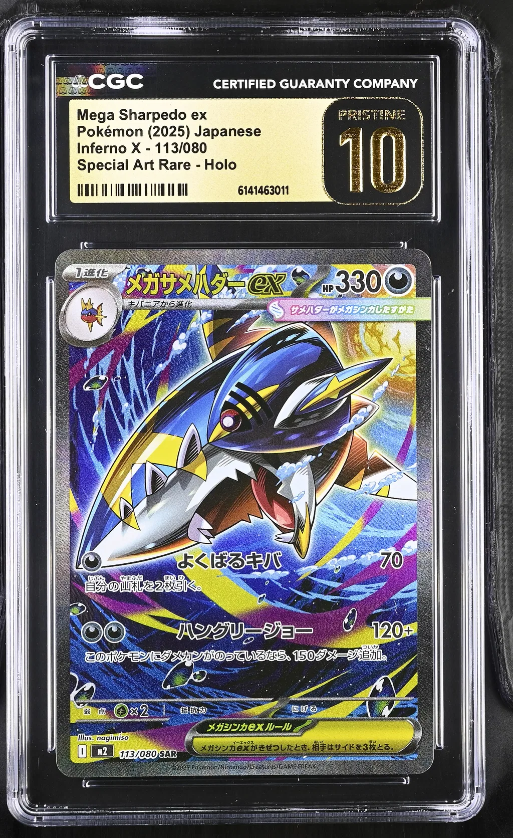 Mega Sharpedo EX card artwork