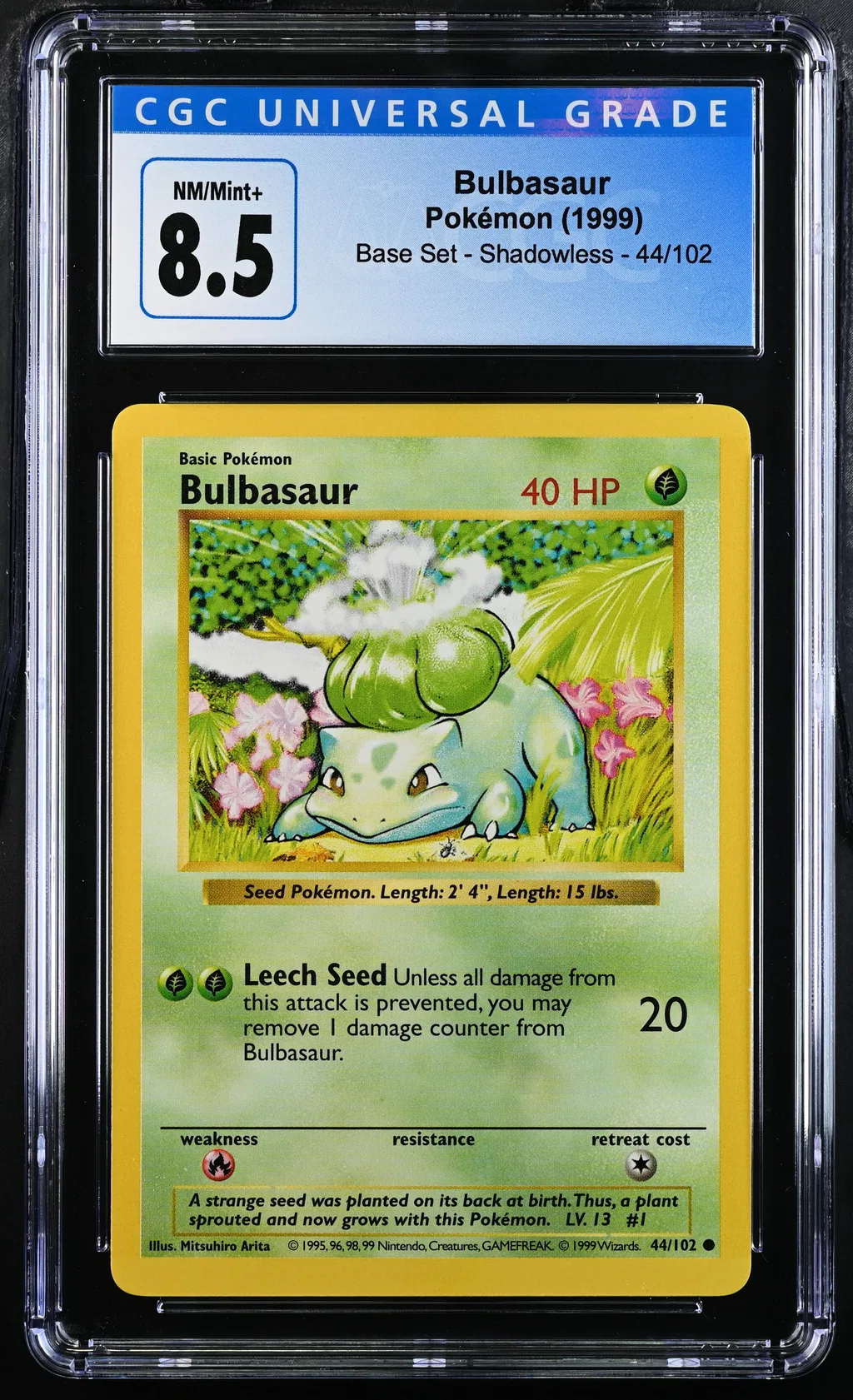 Bulbasaur card artwork
