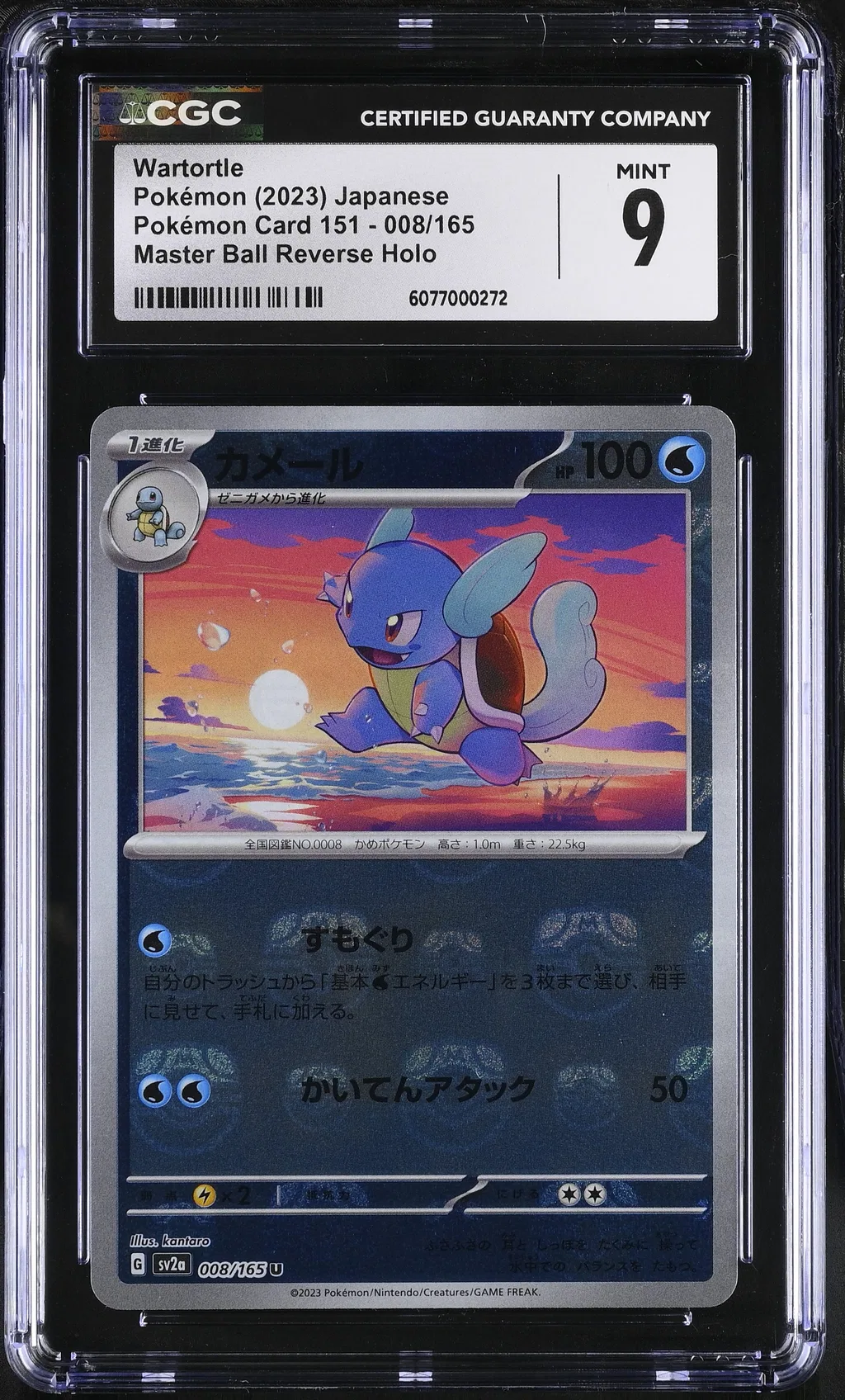 Wartortle card artwork