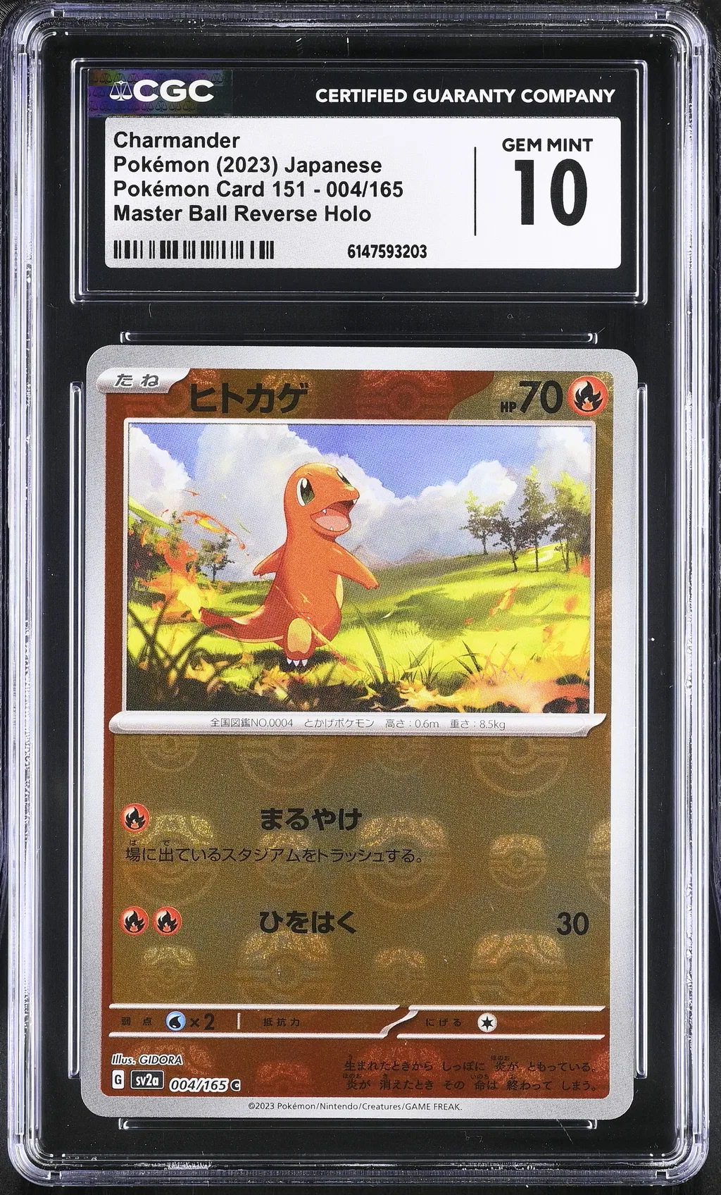 Charmander card artwork