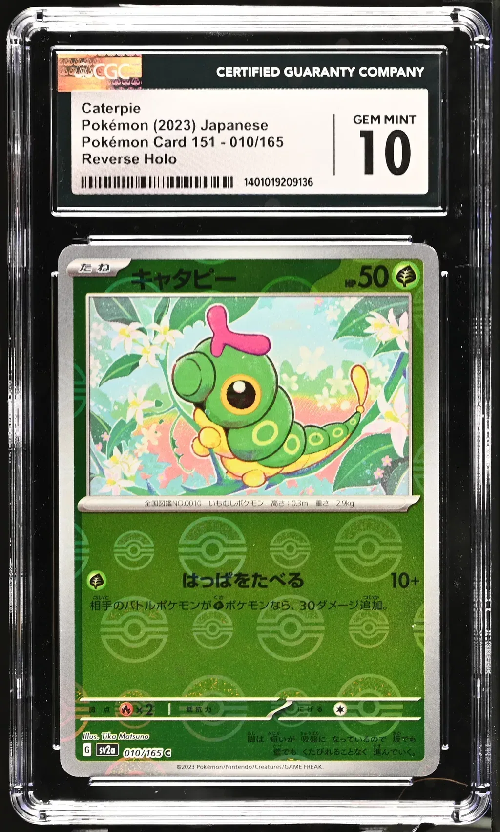Caterpie card artwork