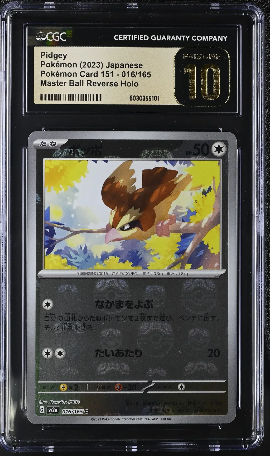 Pidgey card artwork