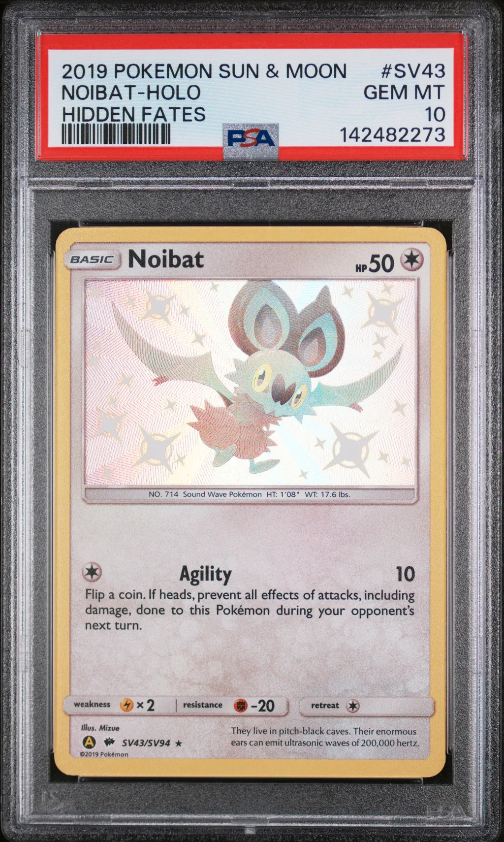 Noibat-Holo card artwork